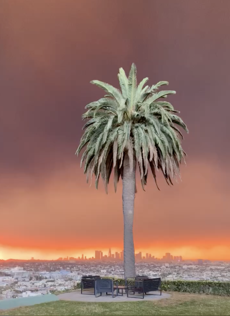 BEETLE RING - Written and Directed by Stella Huston