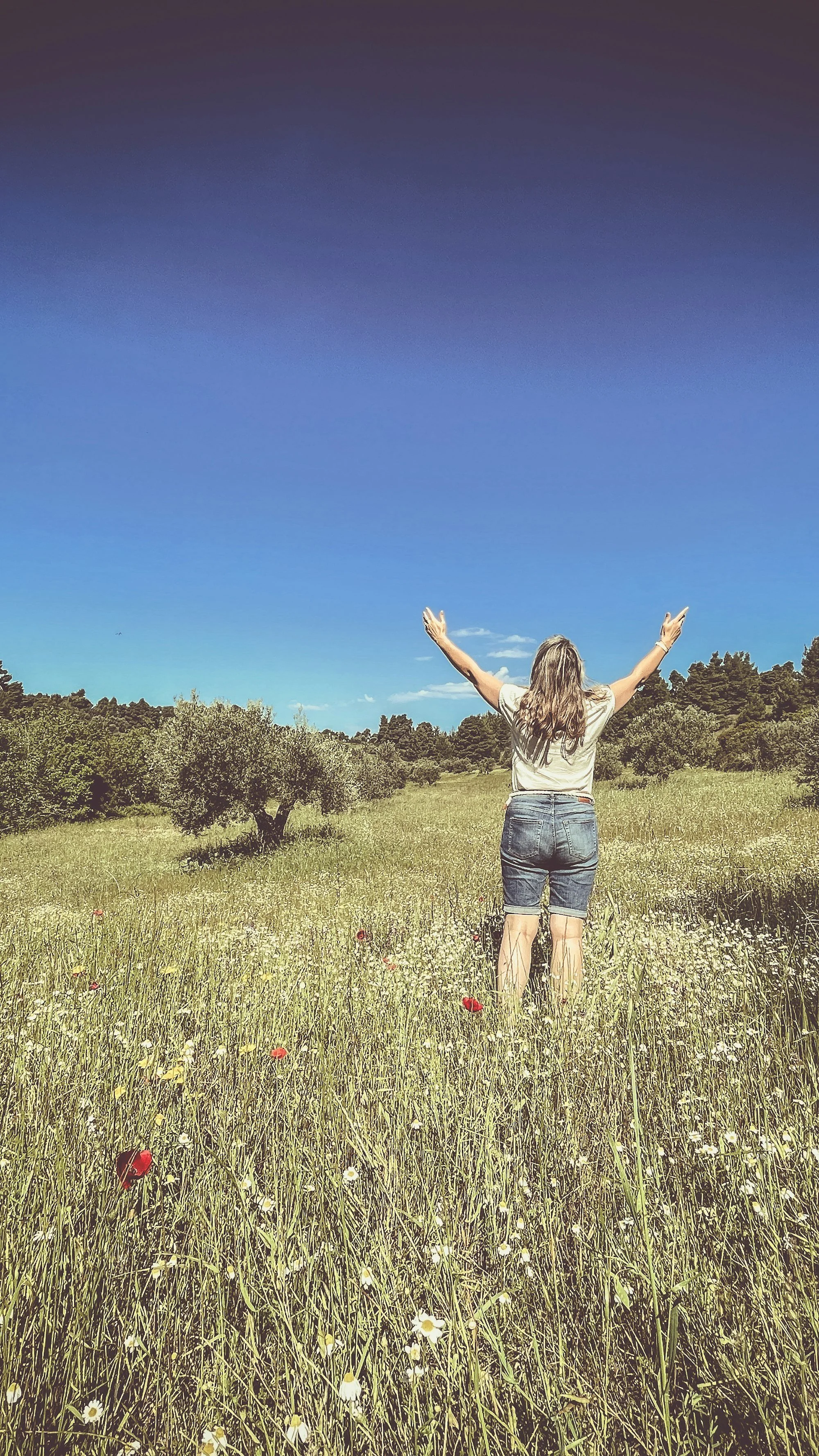 Do you know the secret to true contentment?