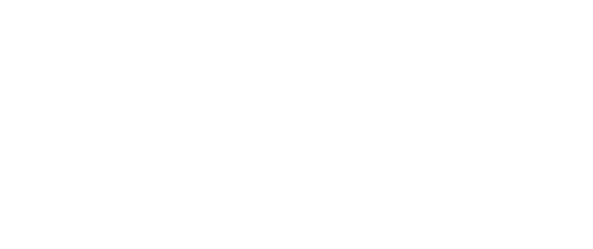 Acer Environmental LLC