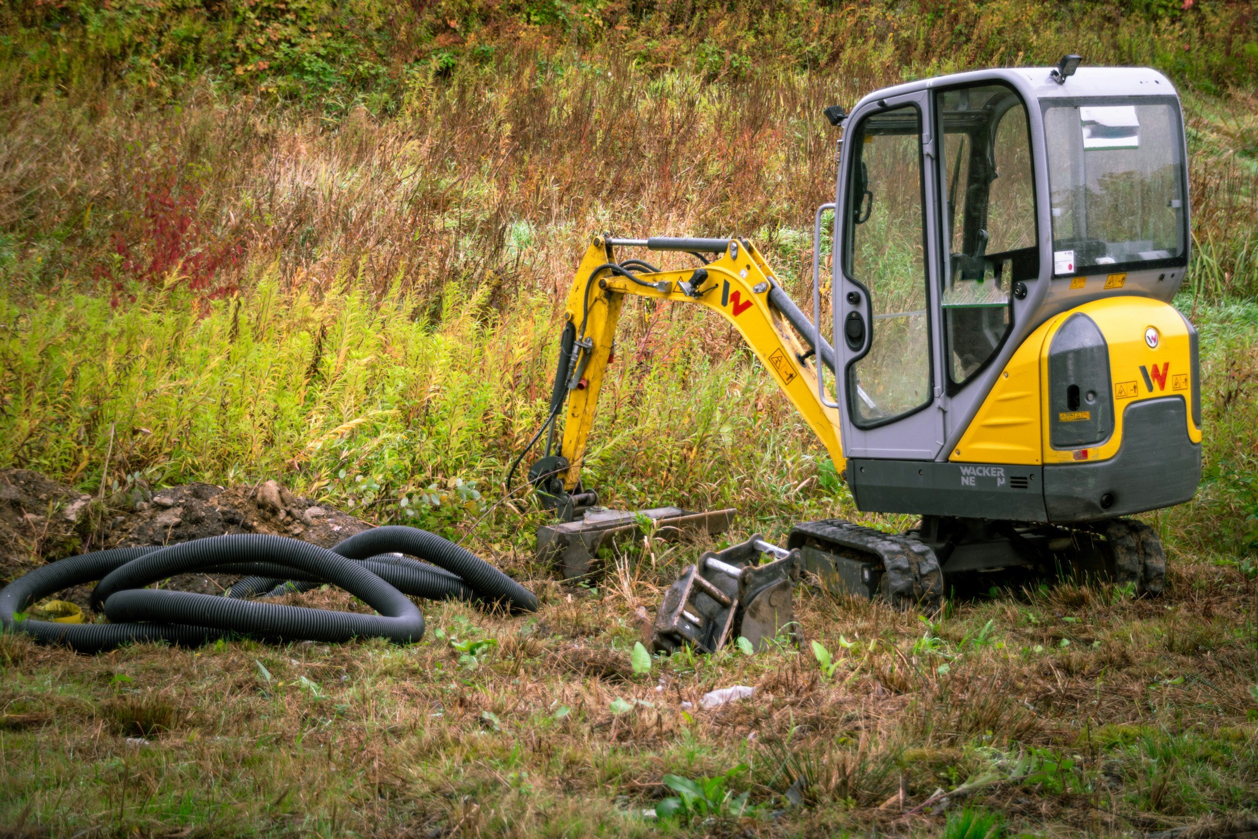 Small yellow and black excavator machine on grassy dirt area next to colorful bushes.