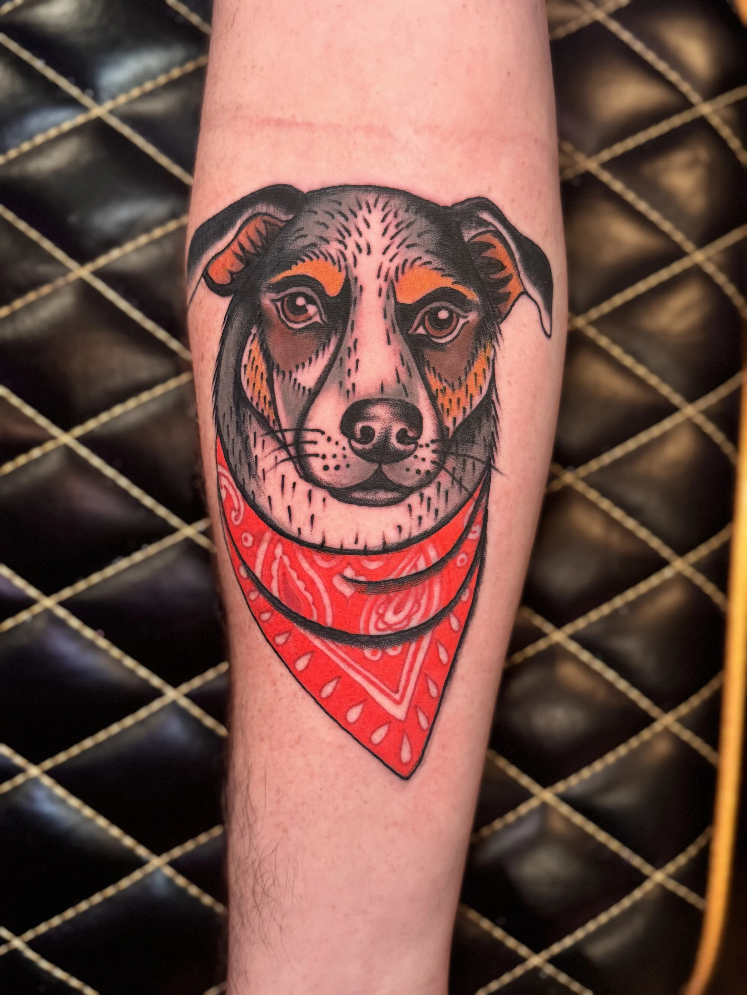 American traditional pet portrait tattoo in color