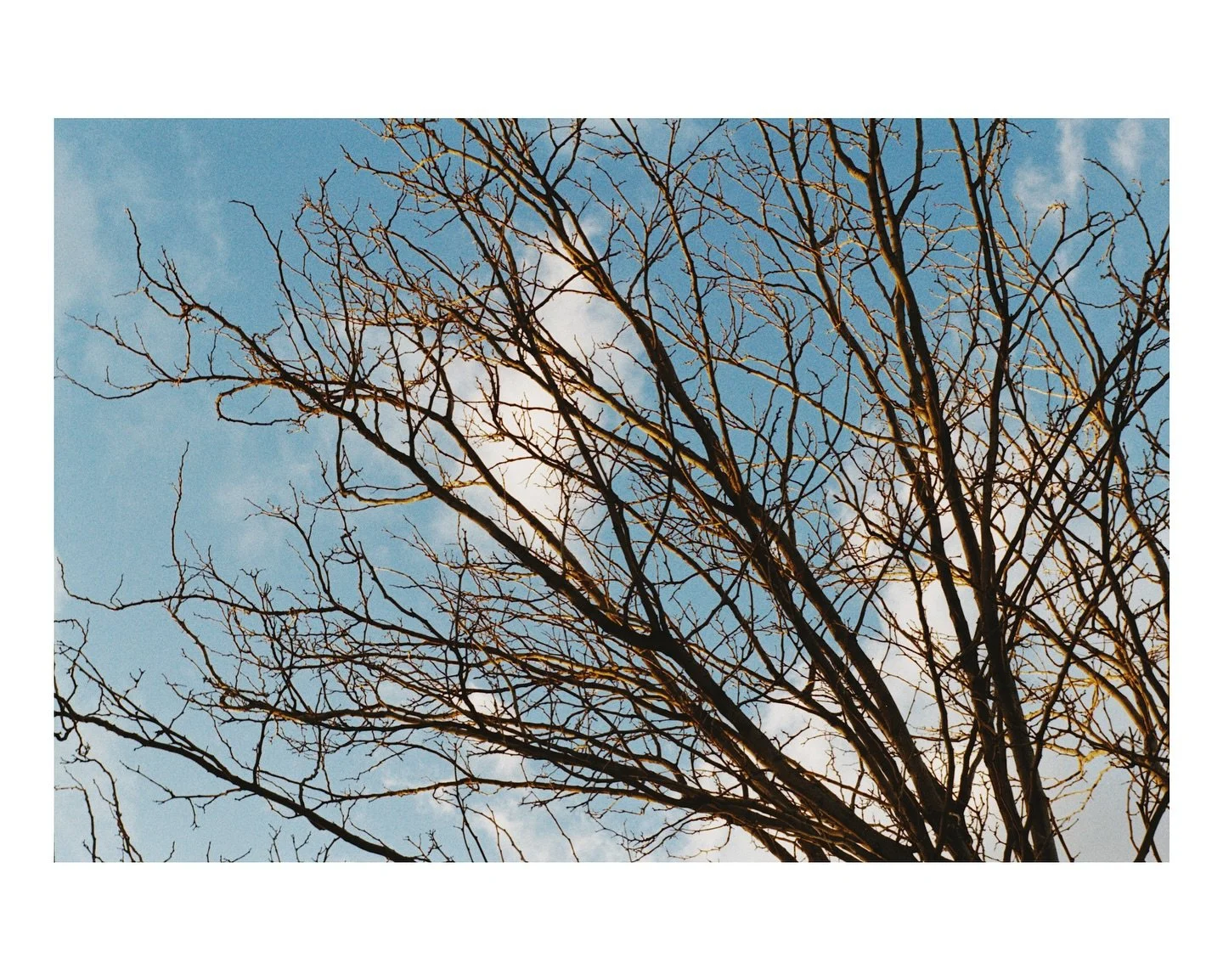 some skies 📷 

Thanks @kodak and @abettercamerastore 

#filmphotography #photographer #skies #sunset #35mmfilm #sonyalpha #fujifilm #kodak