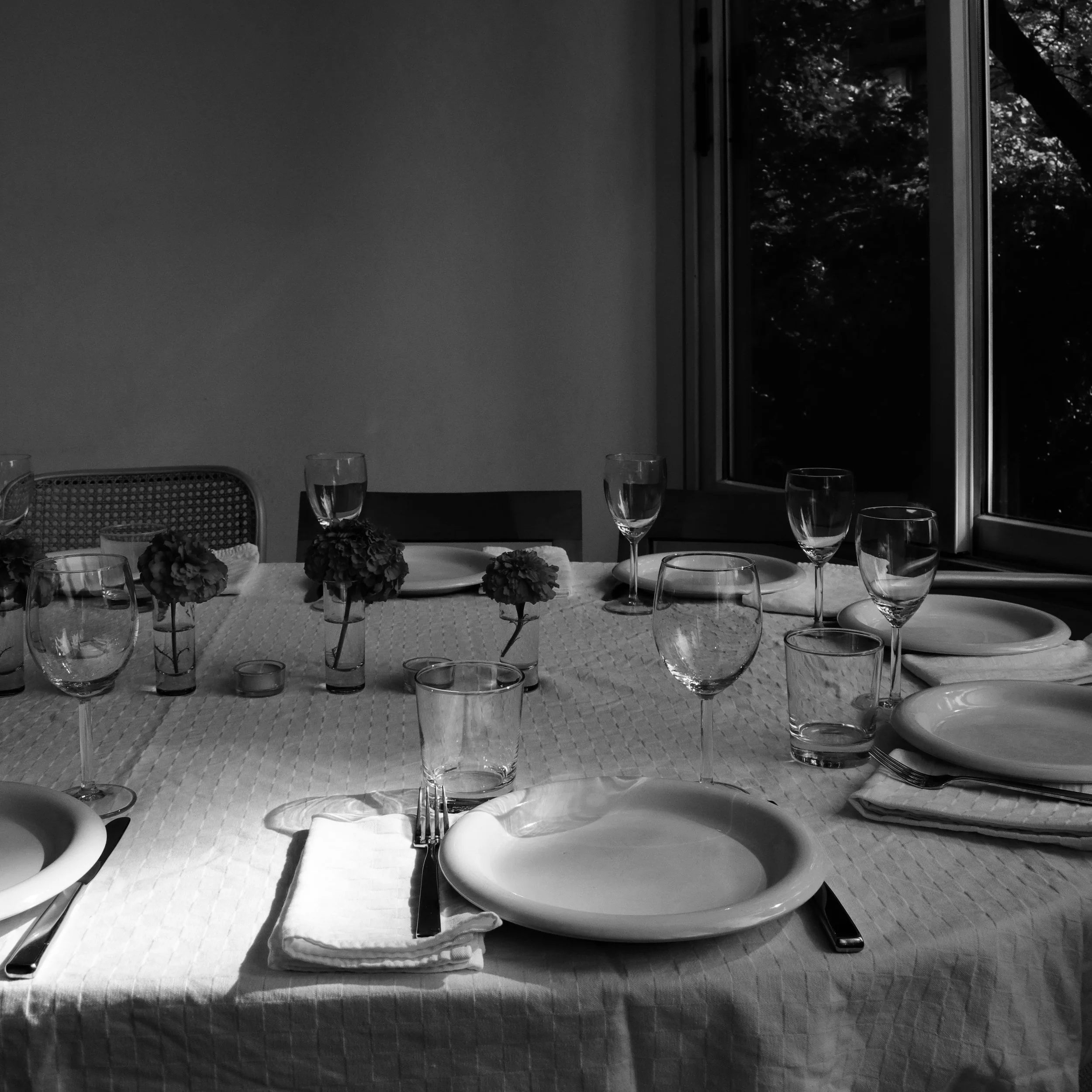 IMG_8916.jpeg