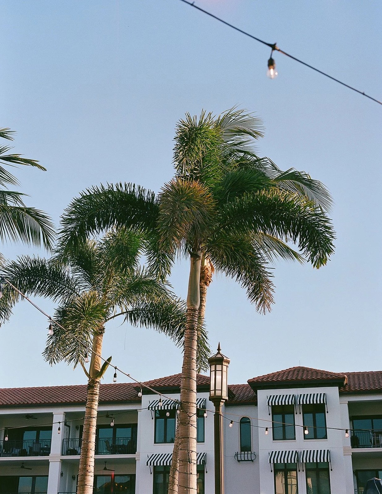 Two palm trees in front of a white building with balconies and striped awnings, under a clear blue sky, with string lights overhead.