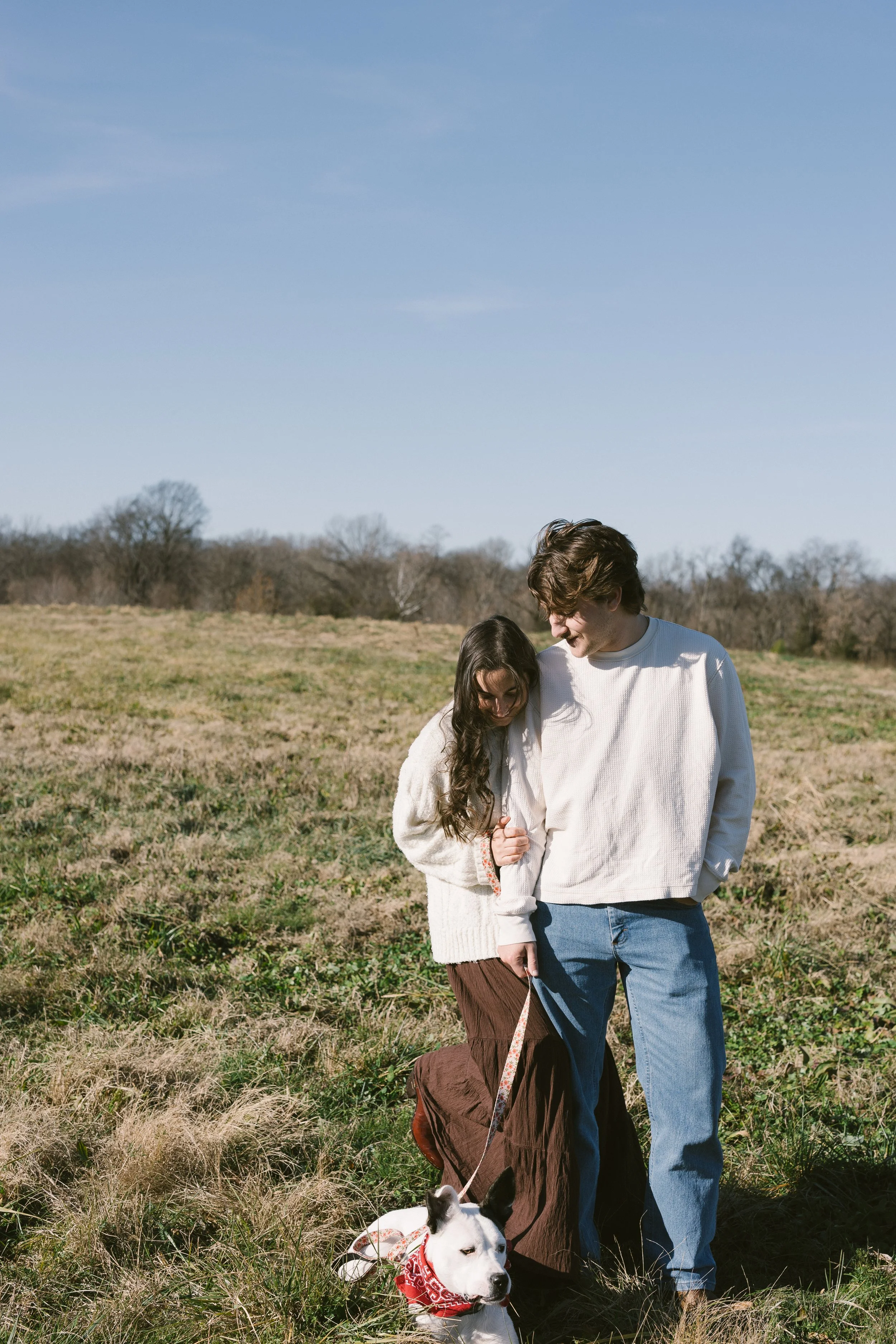 A young couple walking their dog in a grassy field under a clear blue sky.