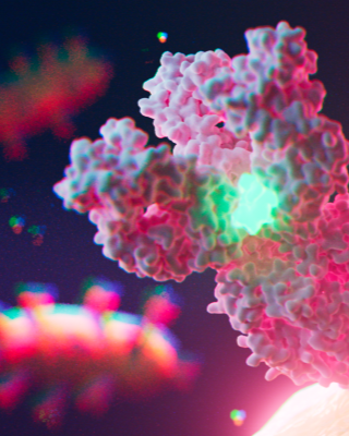 Molecular Visualization & Animation