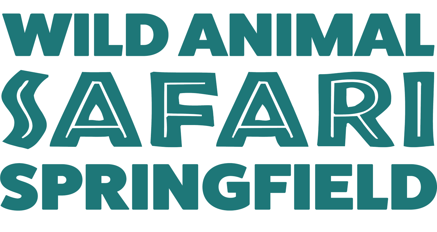 Wild Animal Safari 