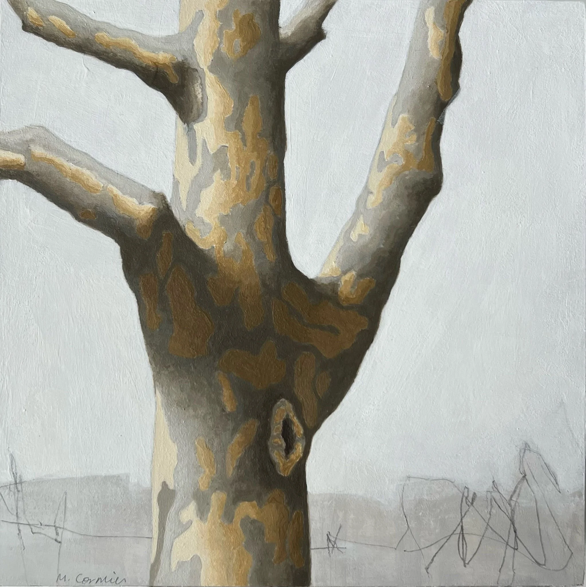 Sycamore 8x8" Sold