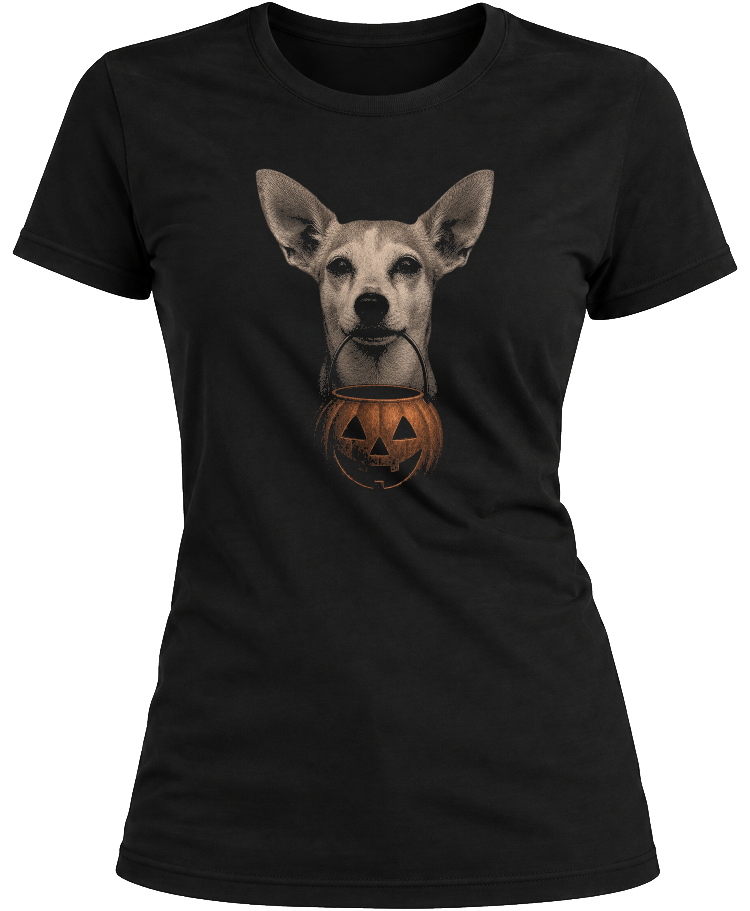 Bella Jack-O-Lantern Mockup.png