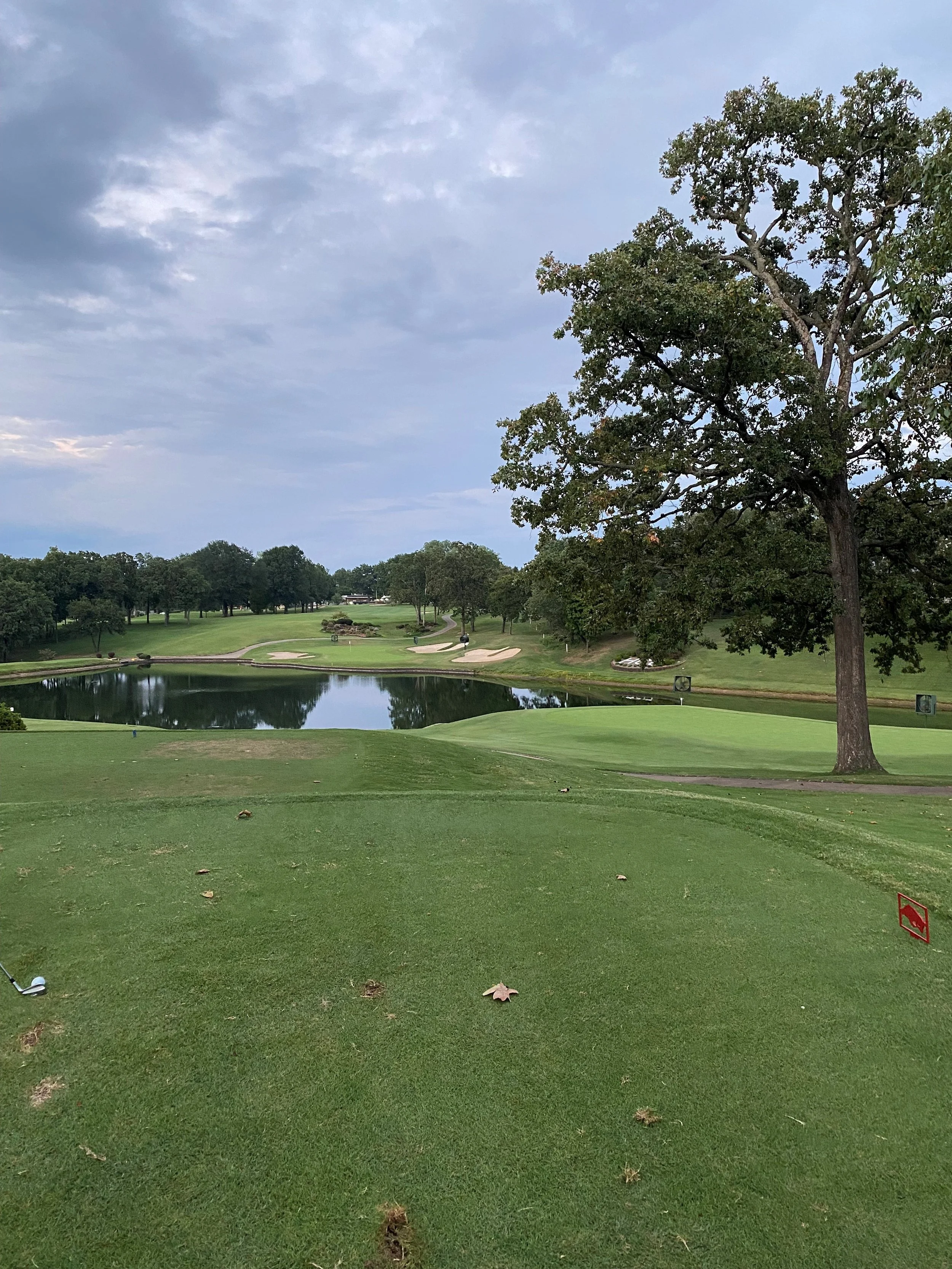 A golf course with a putting green, a small pond, trees, and a cloudy sky.