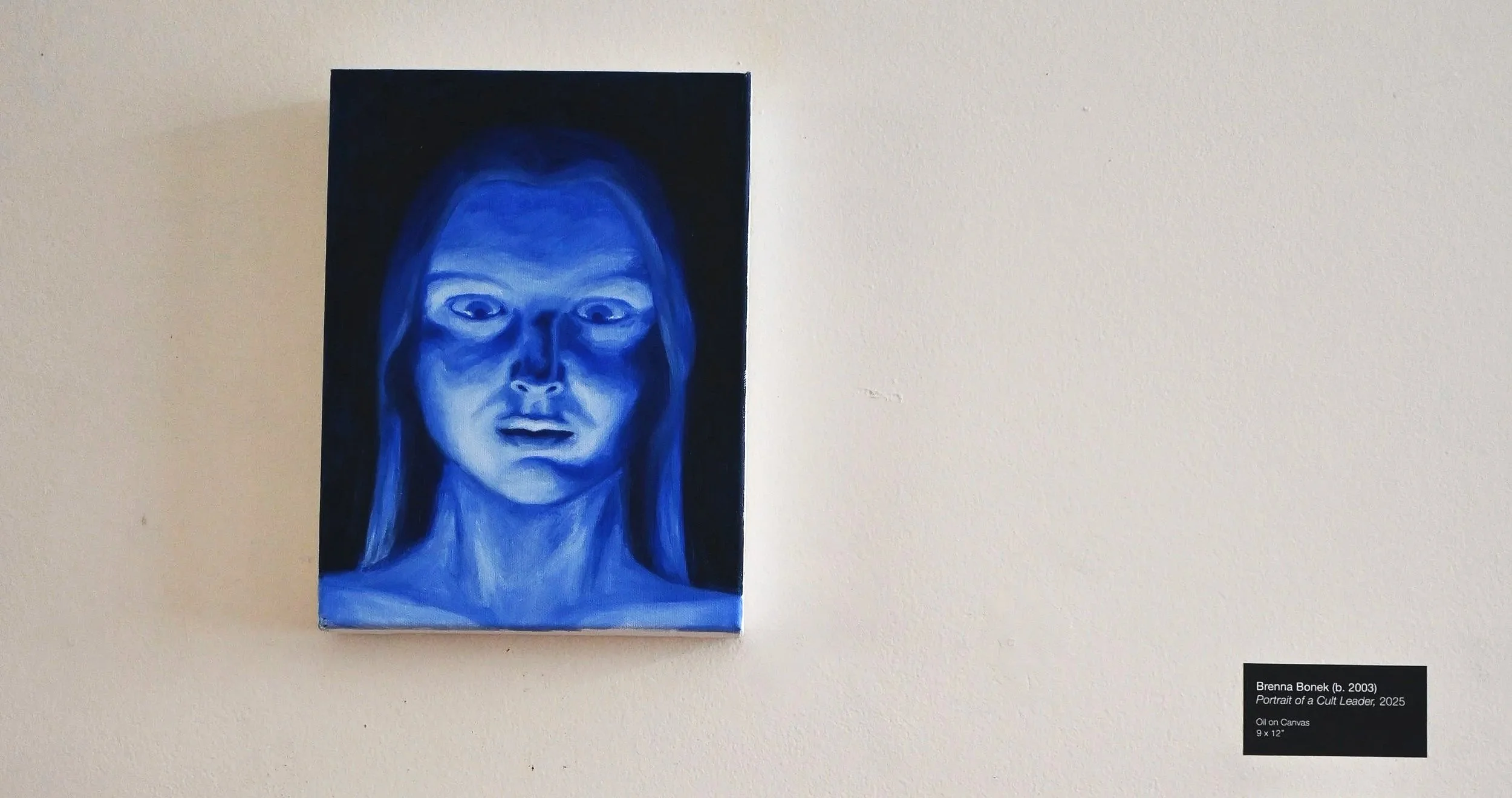 Work showcased in "Pendulum," Camaleón Gallery, Savannah, GA