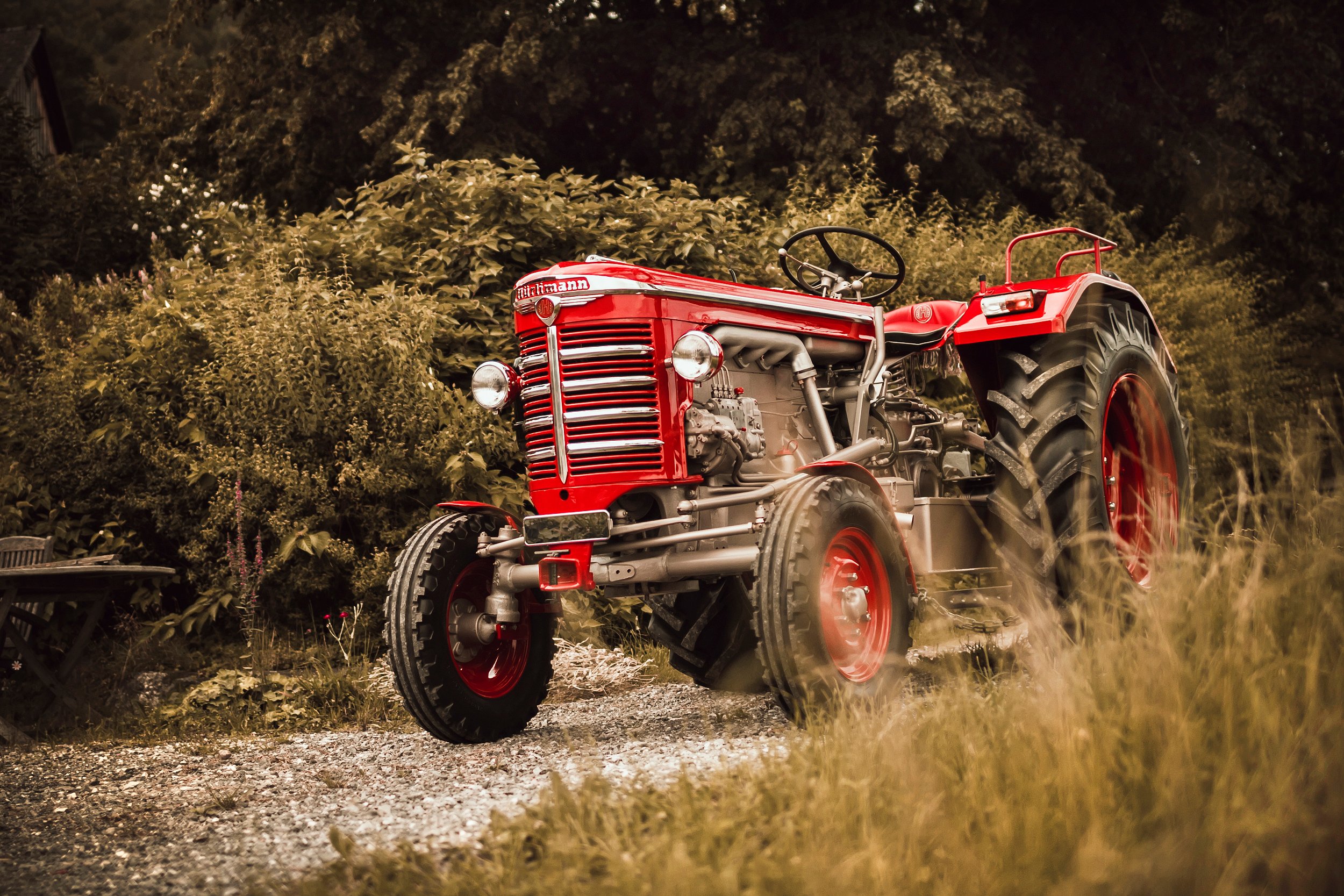 Ein roter Traktor auf einem Feld, umgeben von grünen Büschen und Bäumen, bei Sonnenuntergang oder bewölktem Himmel.