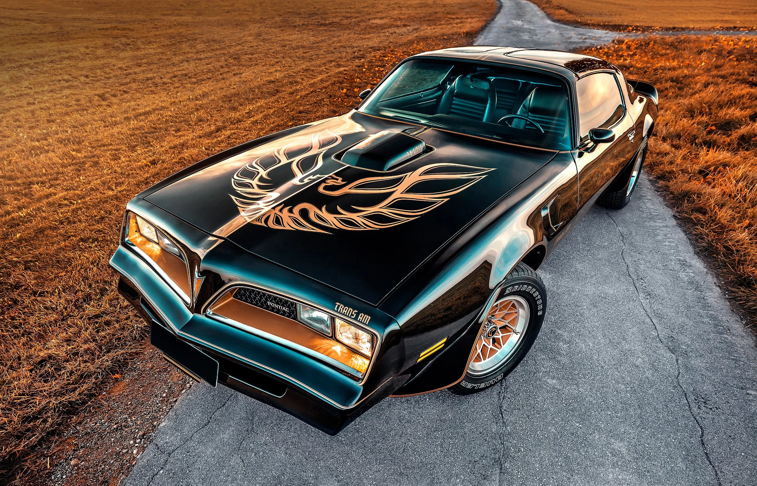 Schwarzer Oldtimer-Pontiac Trans Am mit Flammen-Design auf der Motorhaube, parkend auf einer Asphaltstraße am Abend, umgeben von herbstlichen Feldern.