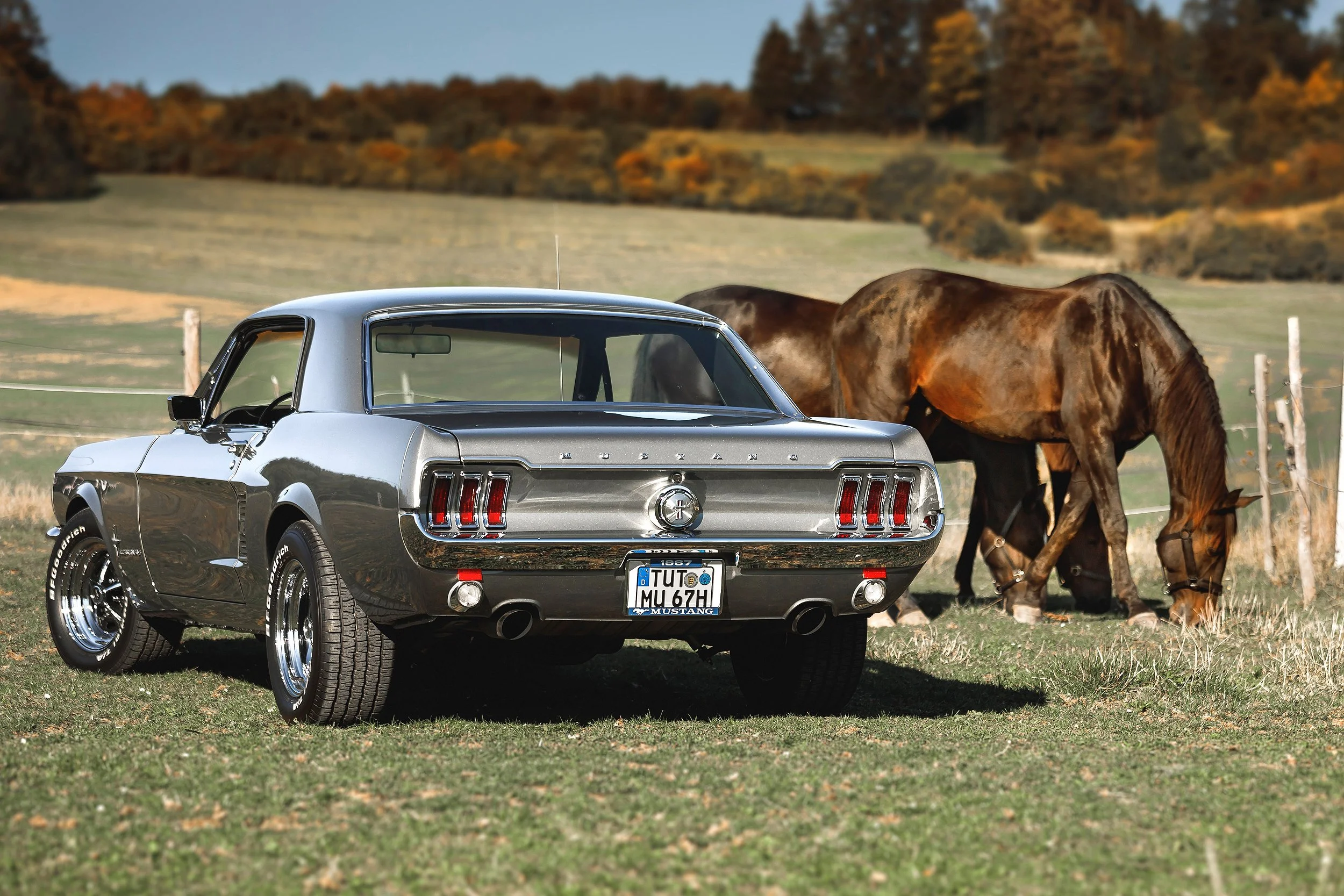 Ein silberner Oldtimer Mustang vor einer ländlichen Kulisse mit grasbewachsenen Feldern, Bäumen und einer Zäunung, im Hintergrund Pferde.