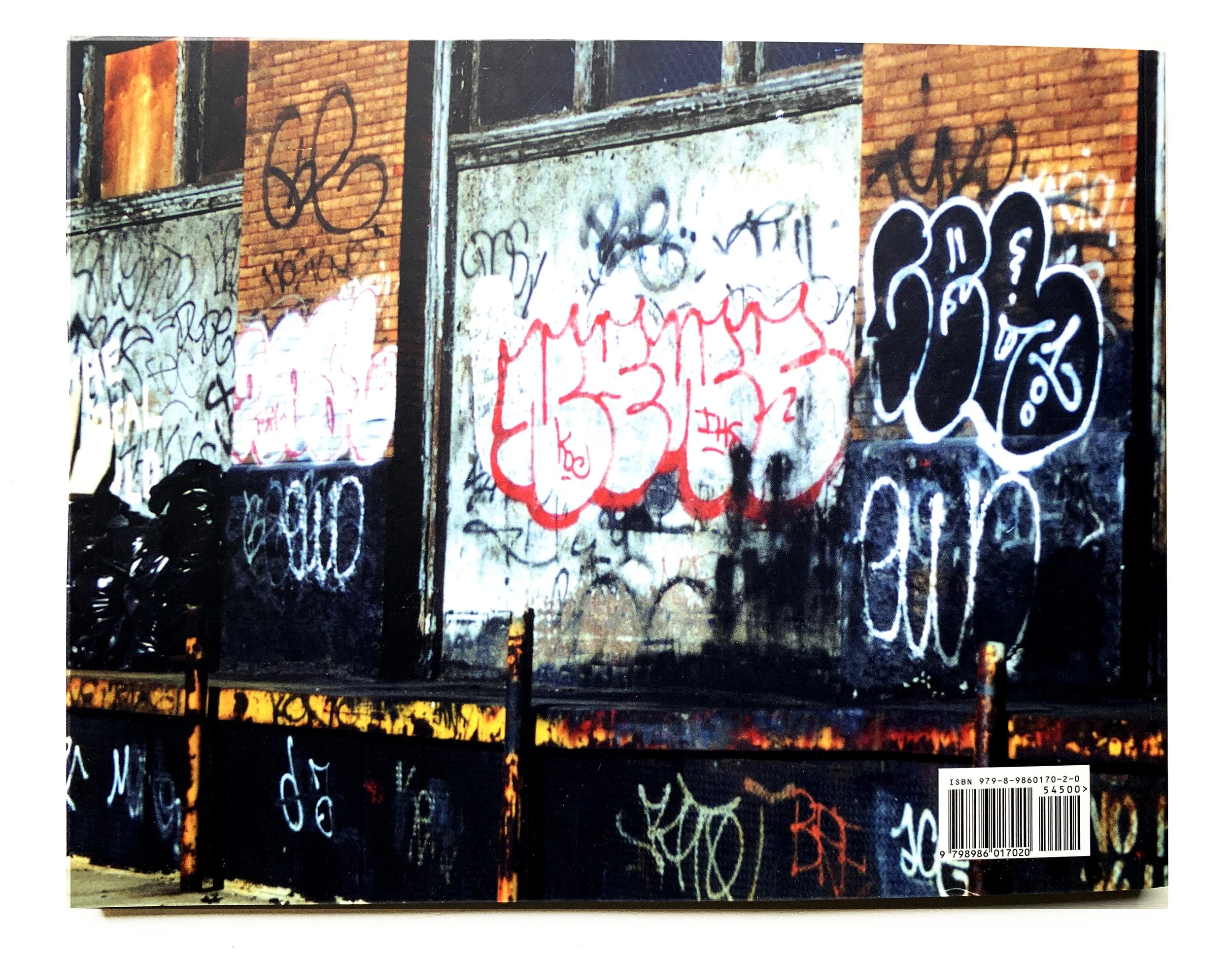 Back cover vol 1.jpg