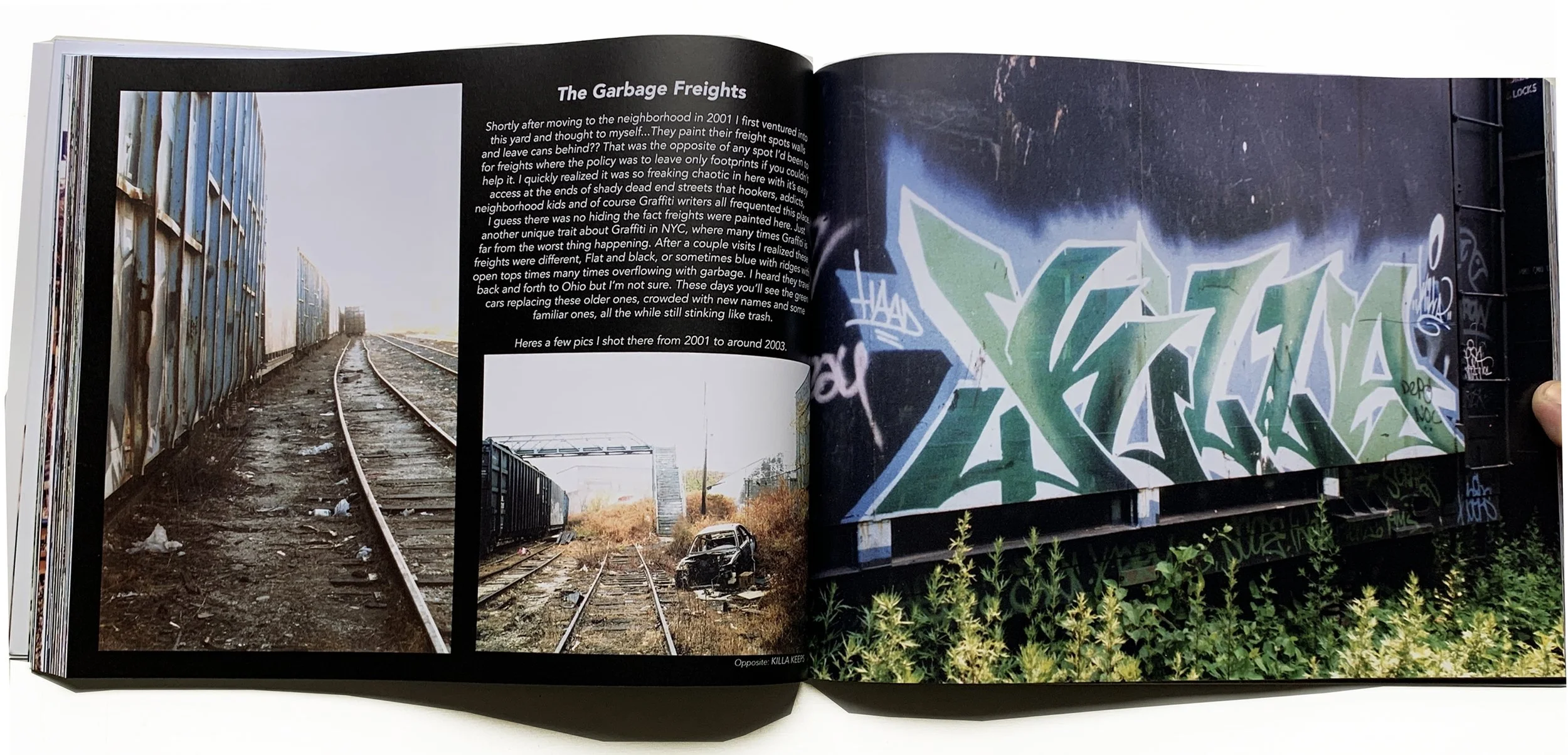 dygafot-vol1-garb fr8 intro.jpg