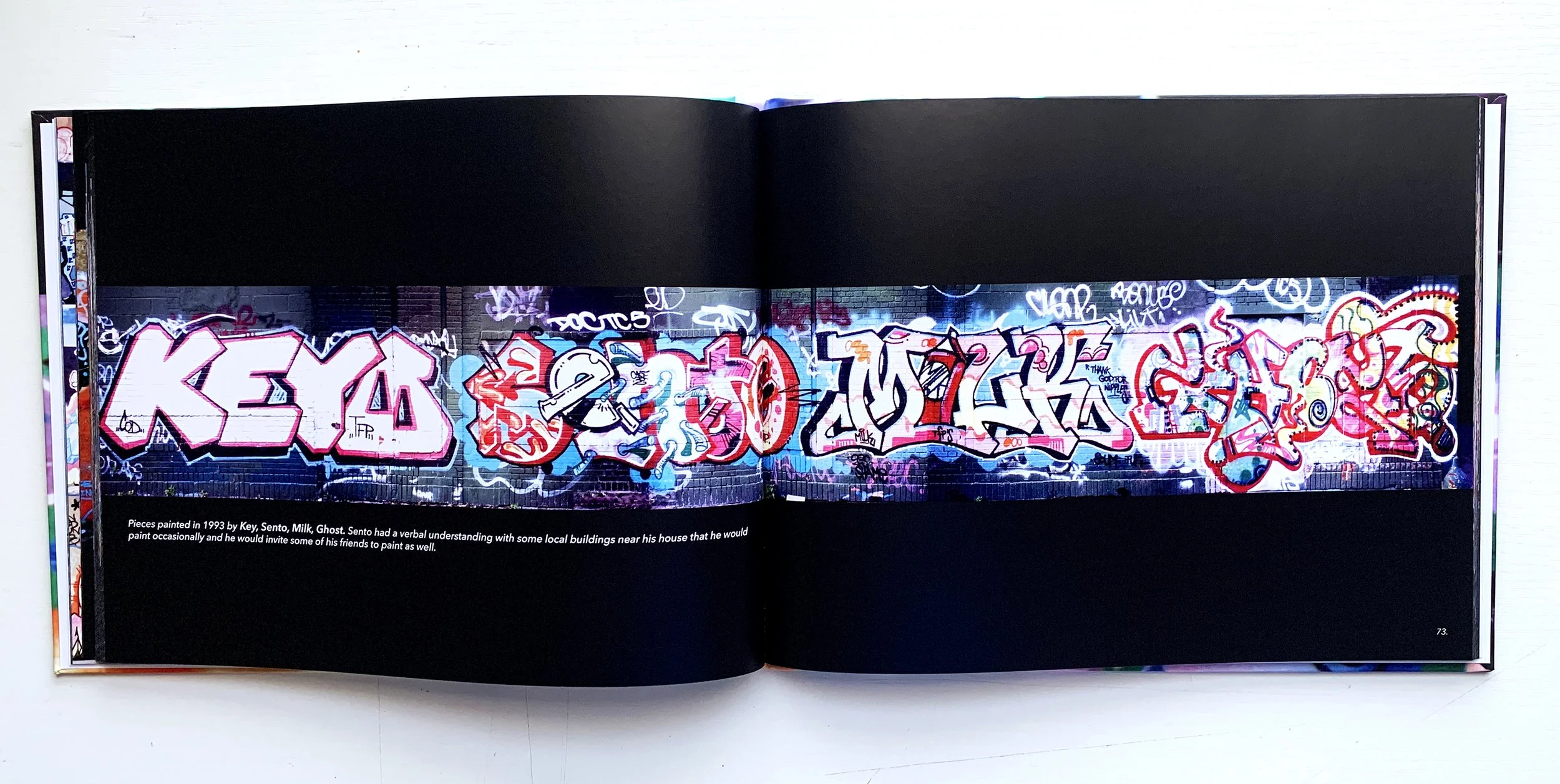 sanesmith page 3.jpg