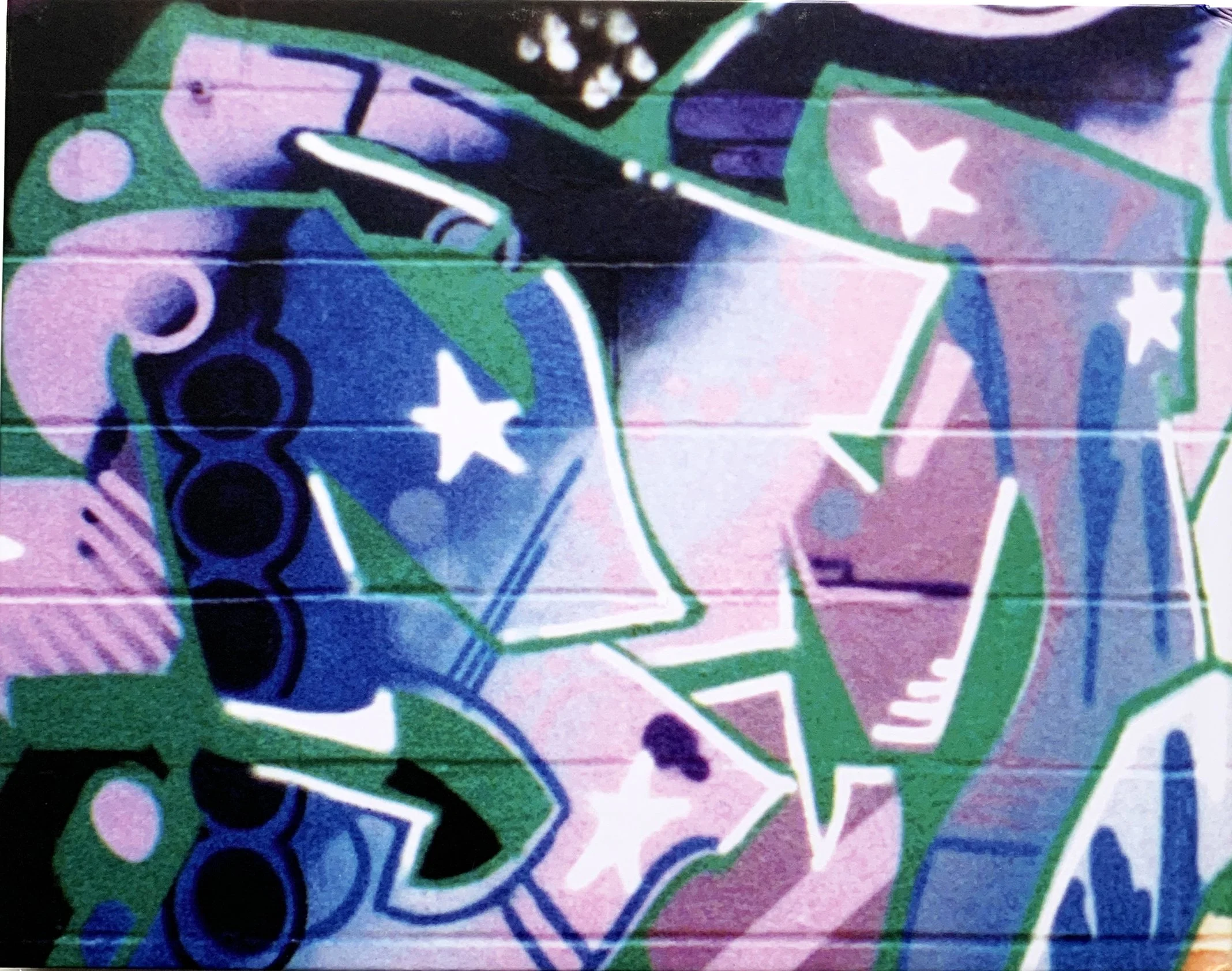 Sanesmith backcover.jpg