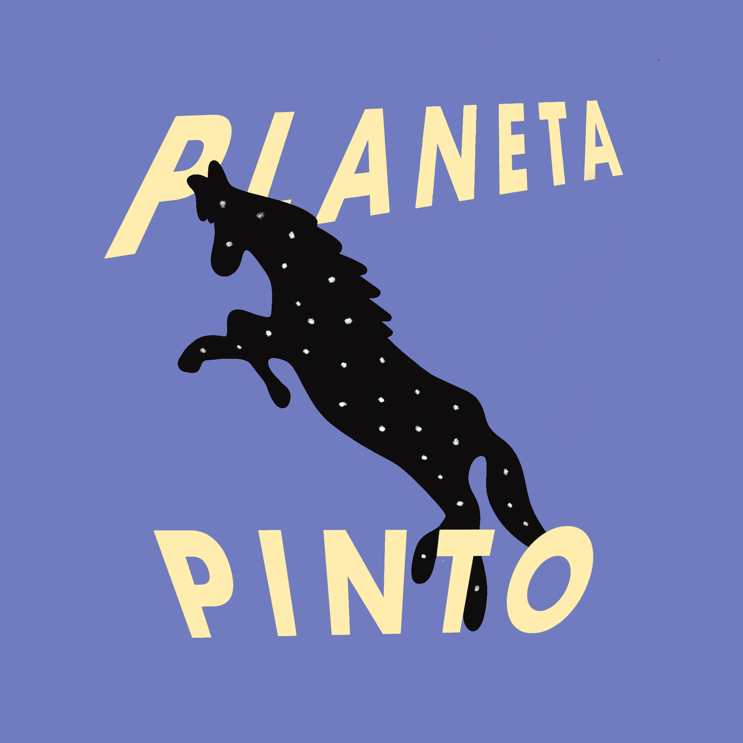Planeta Pinto