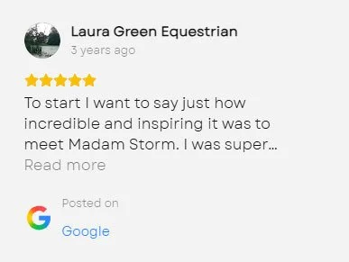 Screenshot of a Google review by Laura Green Equestrian, describing her positive experience meeting Madam Storm, with a 5-star rating.