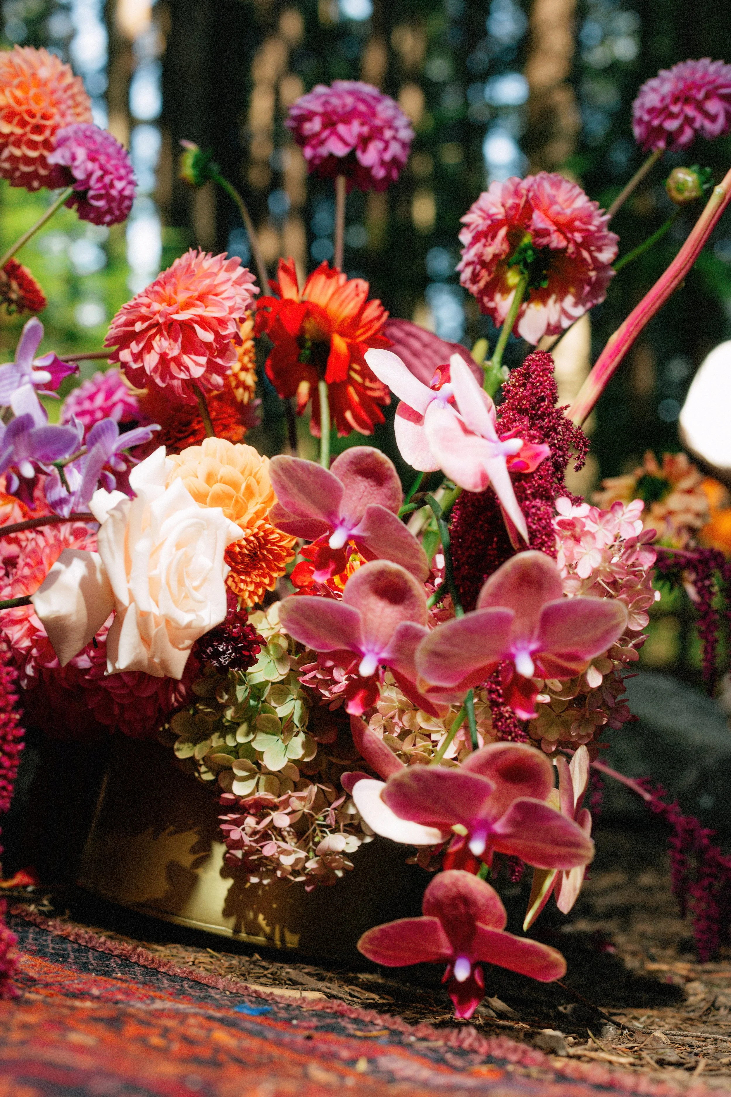 Credit: Tomasz Wagner