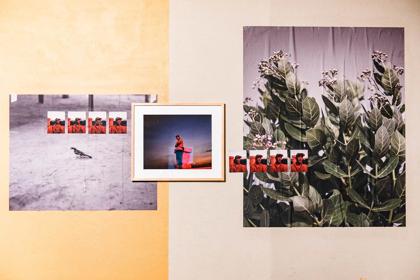 Fotonacht2019 WEB elfirasser.com28.jpg