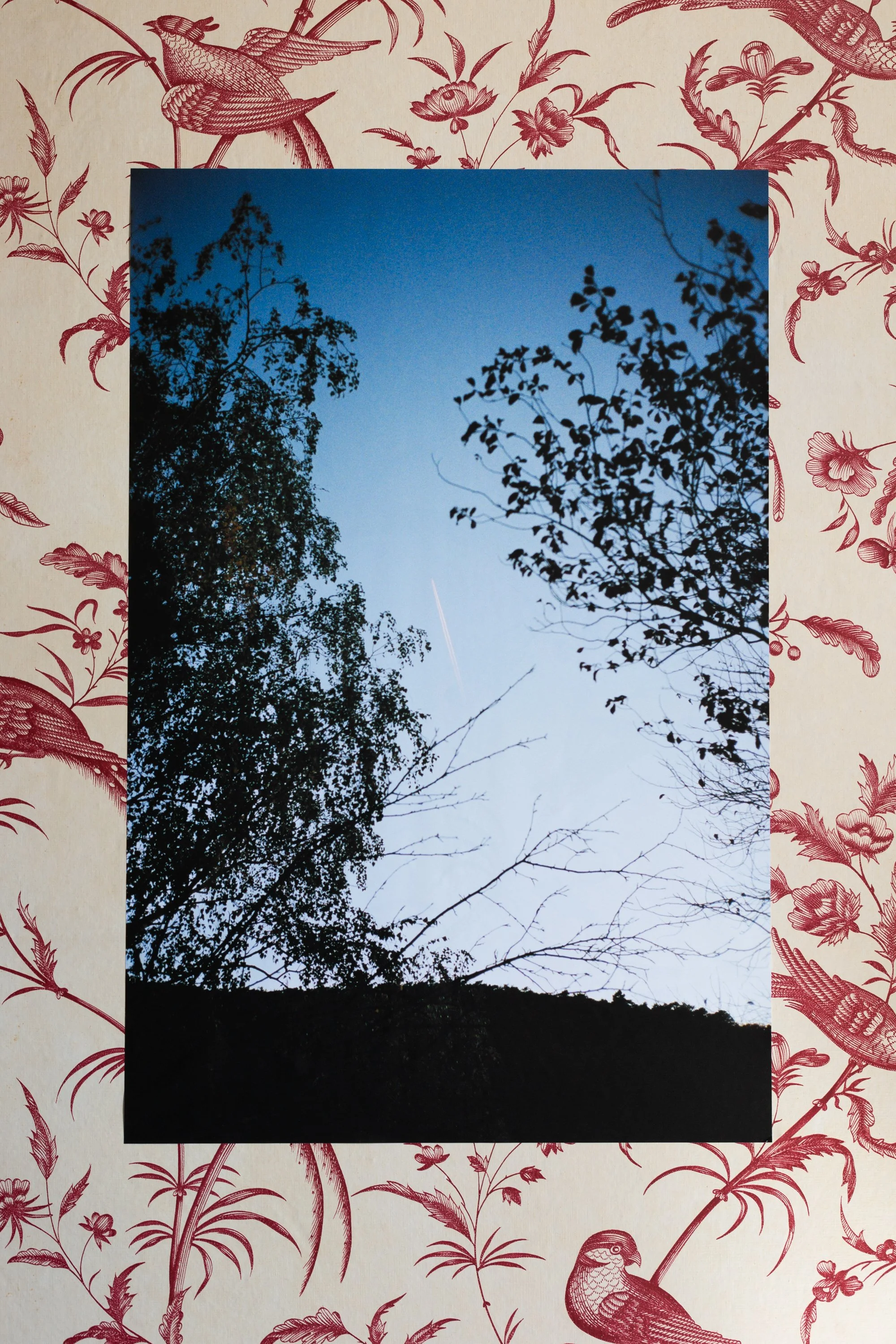Knowing Thunder Gives Away What Lightning Tries to Hide   © Rebecca Bowring