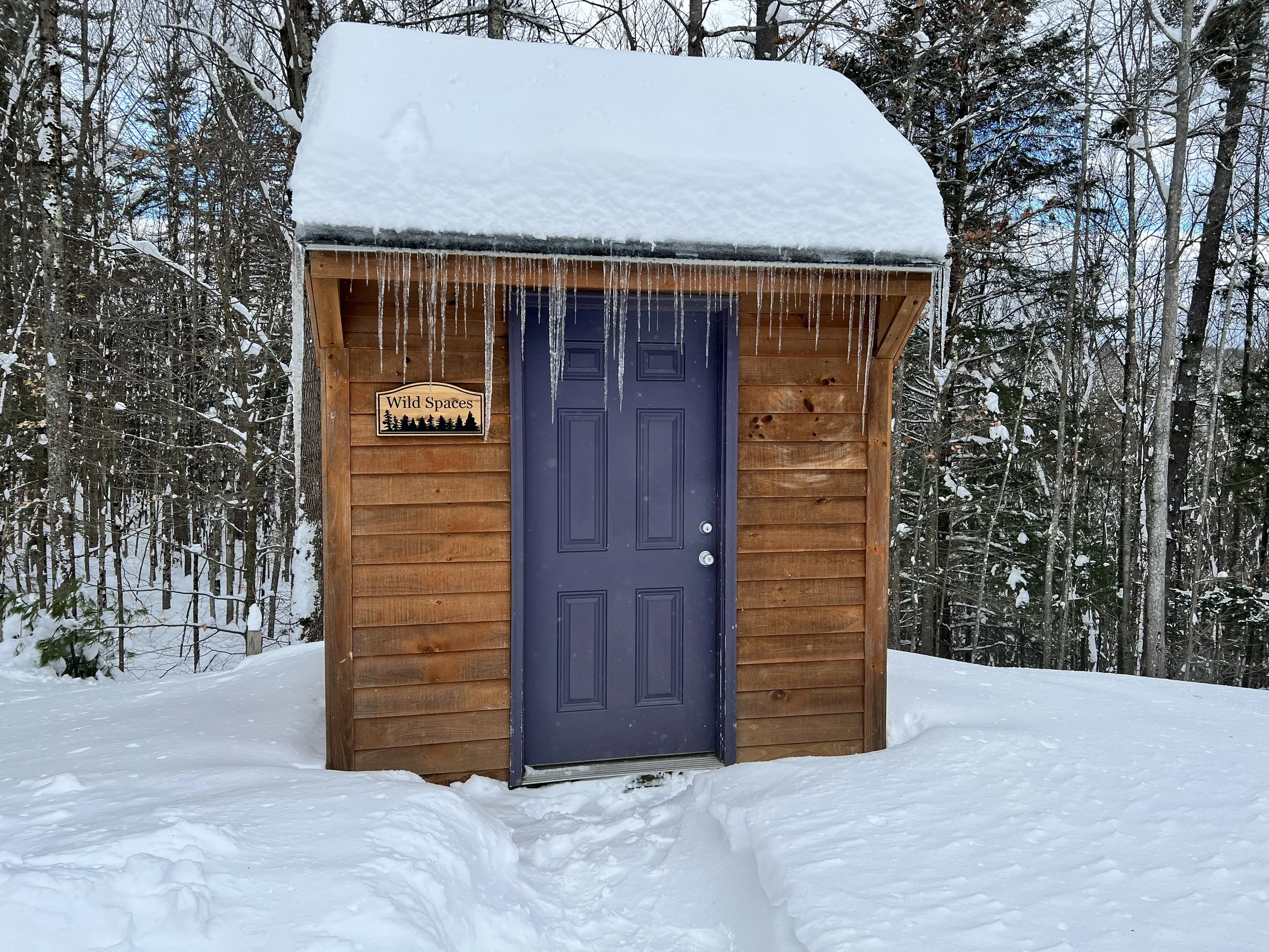Diane's shed copy.jpg