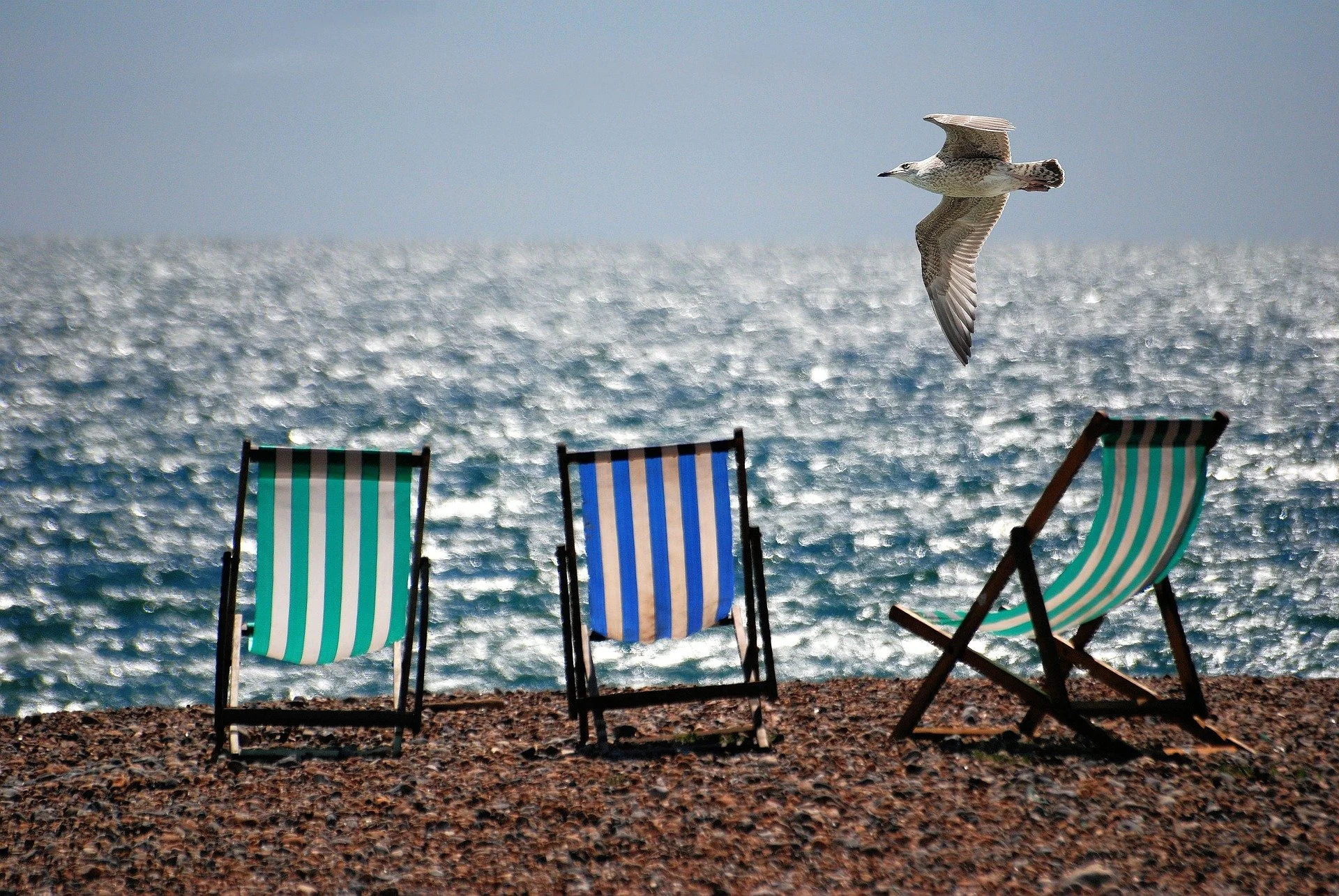 Three striped beach chairs on a pebble beach facing the ocean, with a seagull flying overhead against a sunny sky.