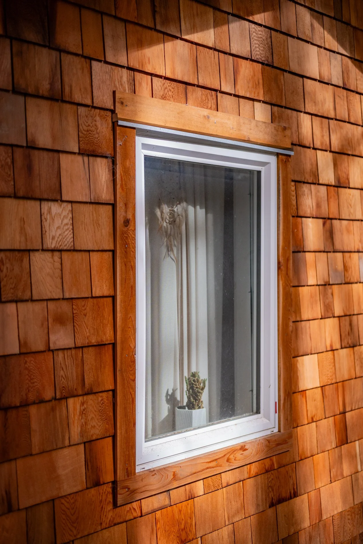 A window with a white frame on a house with wooden shingle siding. Inside the window, a potted cactus plant is visible along with a curtain and a plant hanging on the wall.