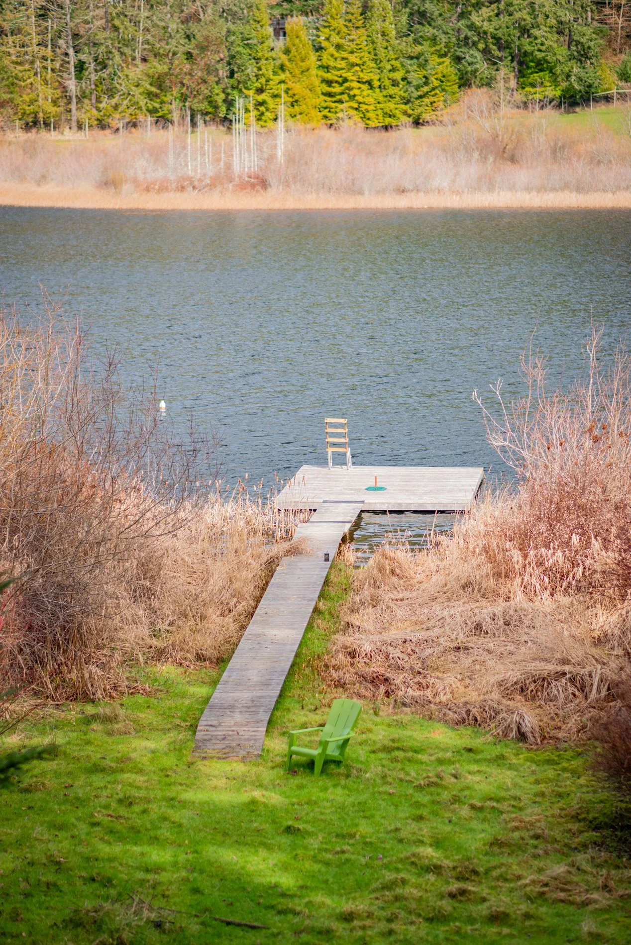 A lakeside scene showing a green lawn with a single green Adirondack chair, a wooden dock extending into the water with a ladder on the end, surrounded by dry brown shrubs, with a wooded background of evergreen trees.
