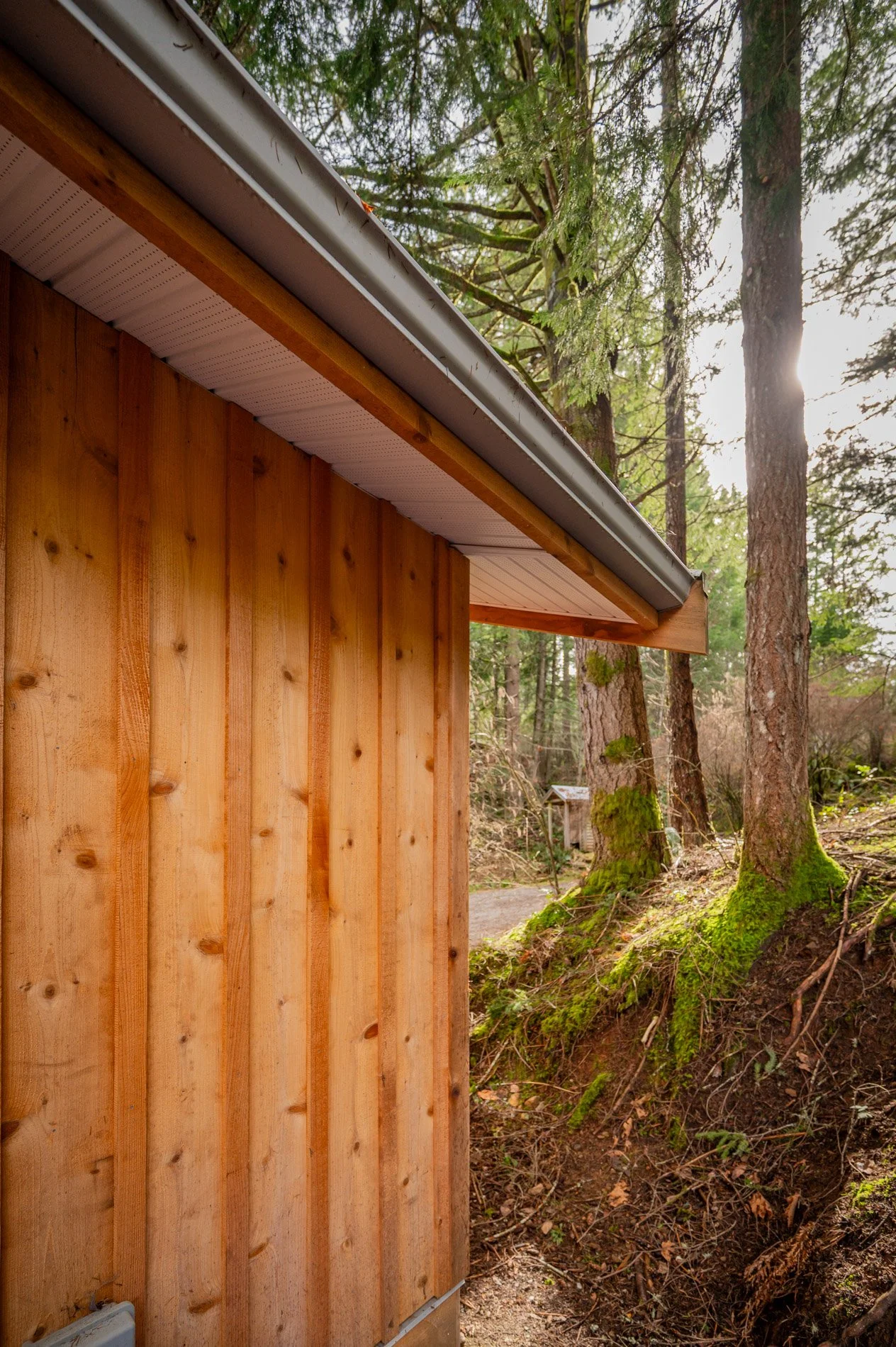 Close-up of a wooden exterior wall of a building in a forest, with trees and moss-covered ground in the background, and sunlight filtering through the trees.