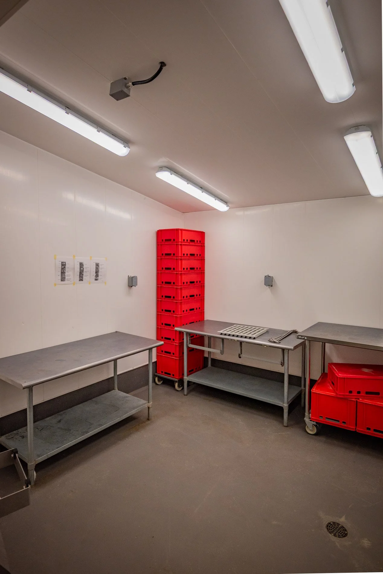 A sterile storage room with metal tables, a red plastic crate shelving unit, and red crates, illuminated by fluorescent lights.