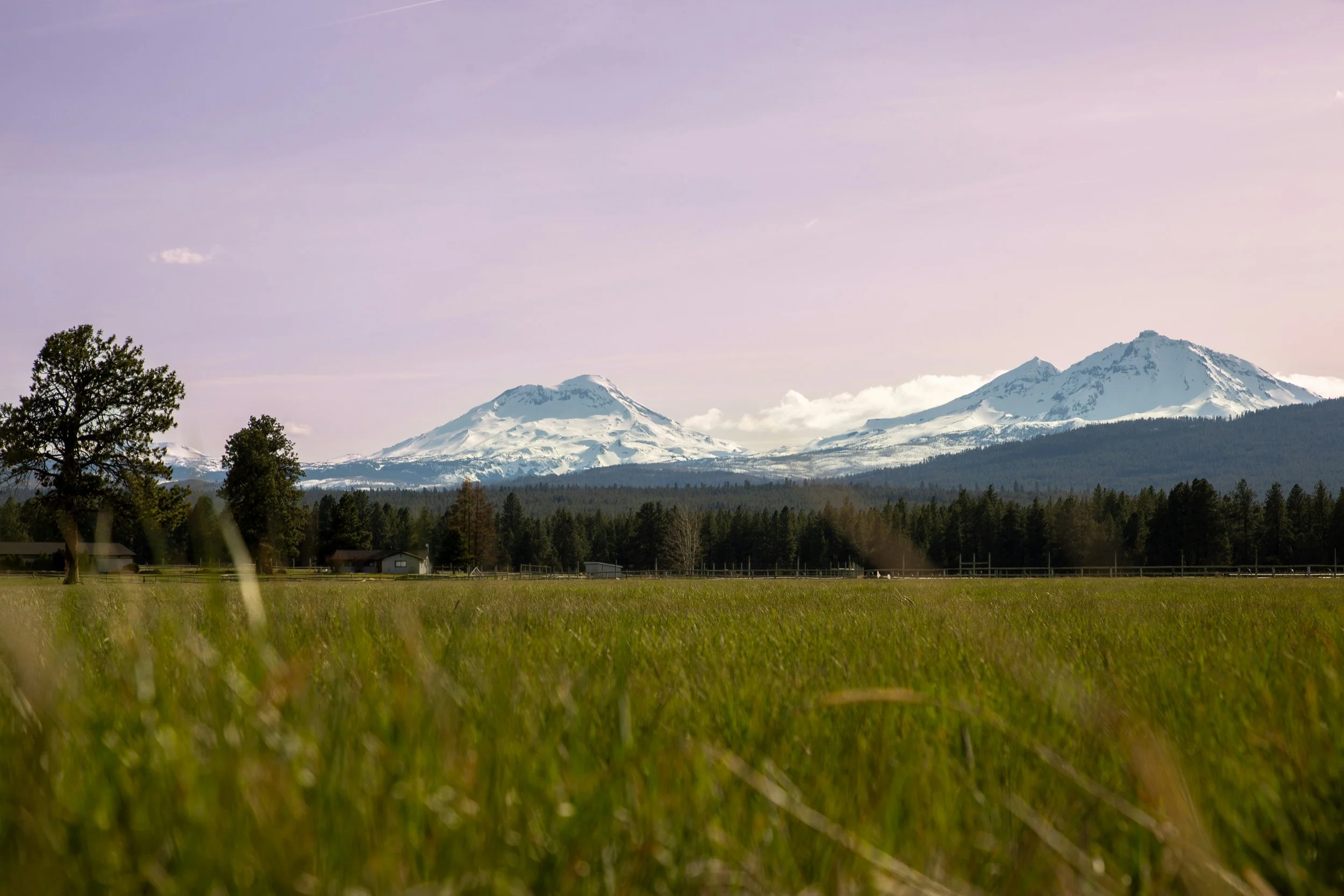 local Oregon Medicare Insurance broker