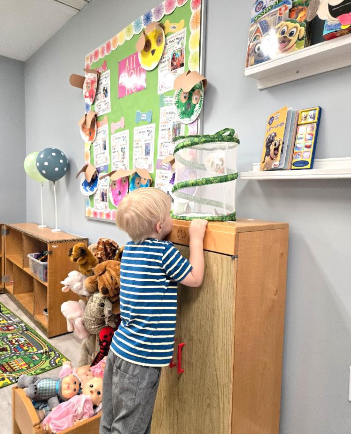 Screenshot 2026-03-05 at 7.55.29 PM.png