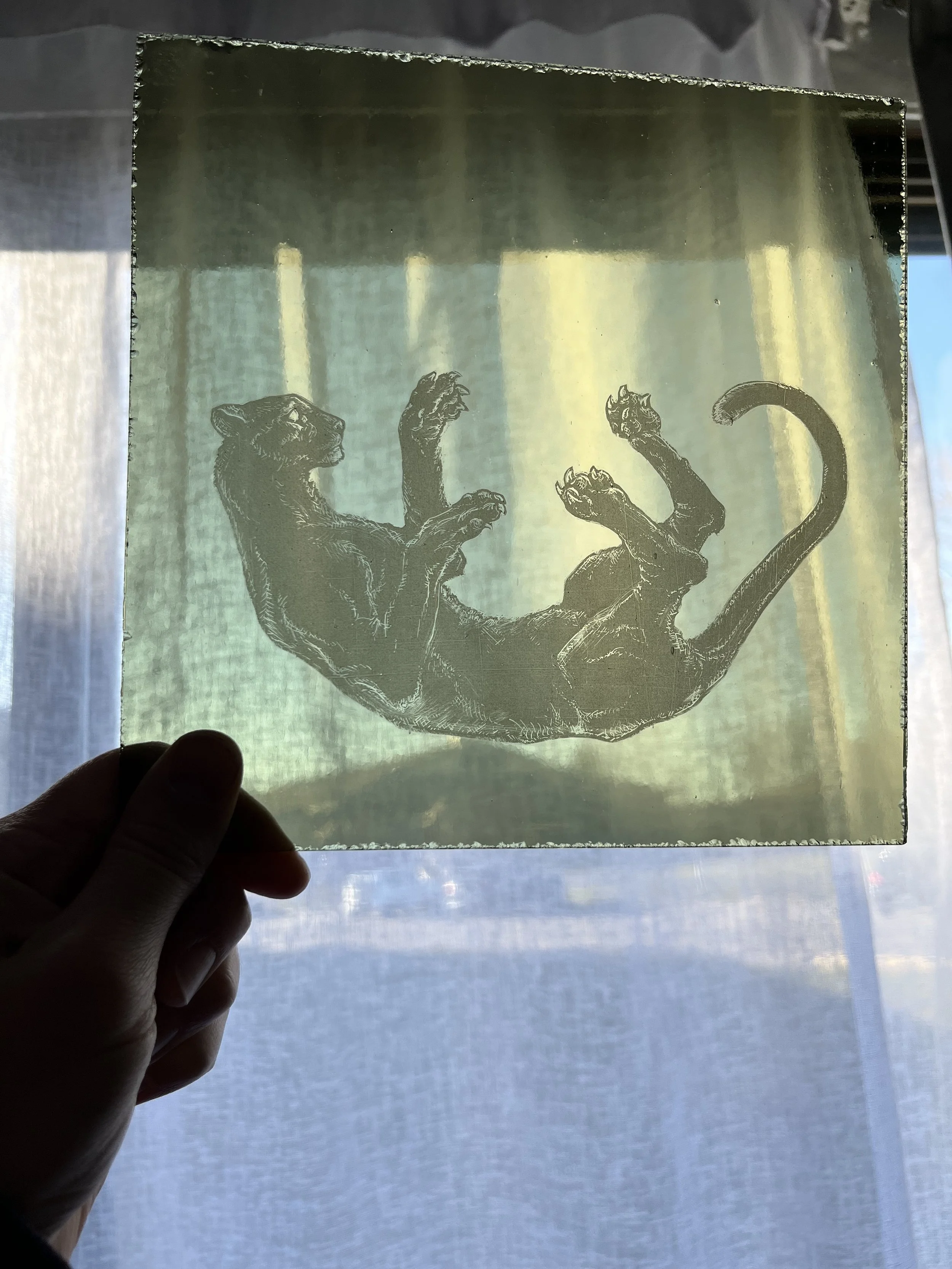 Enamel Painted Panther Lighten Glass & Graphics by Annabelle