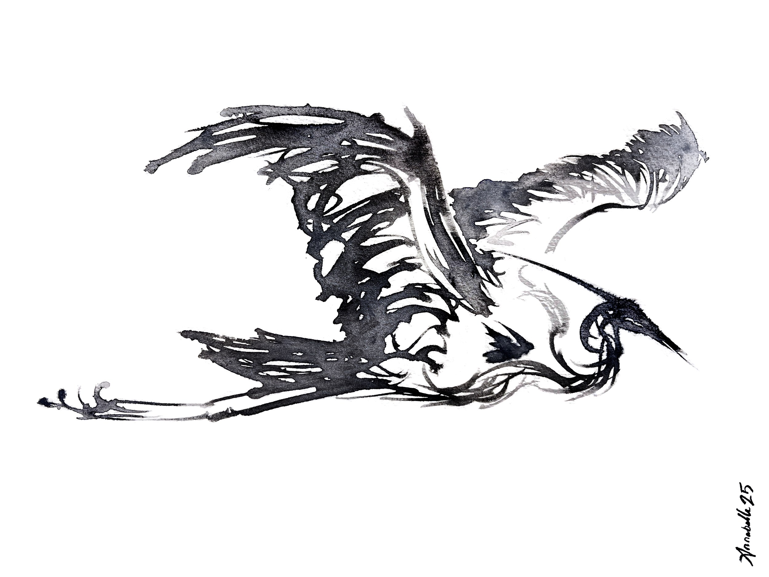 Coast Rider Original Drawing.PNG