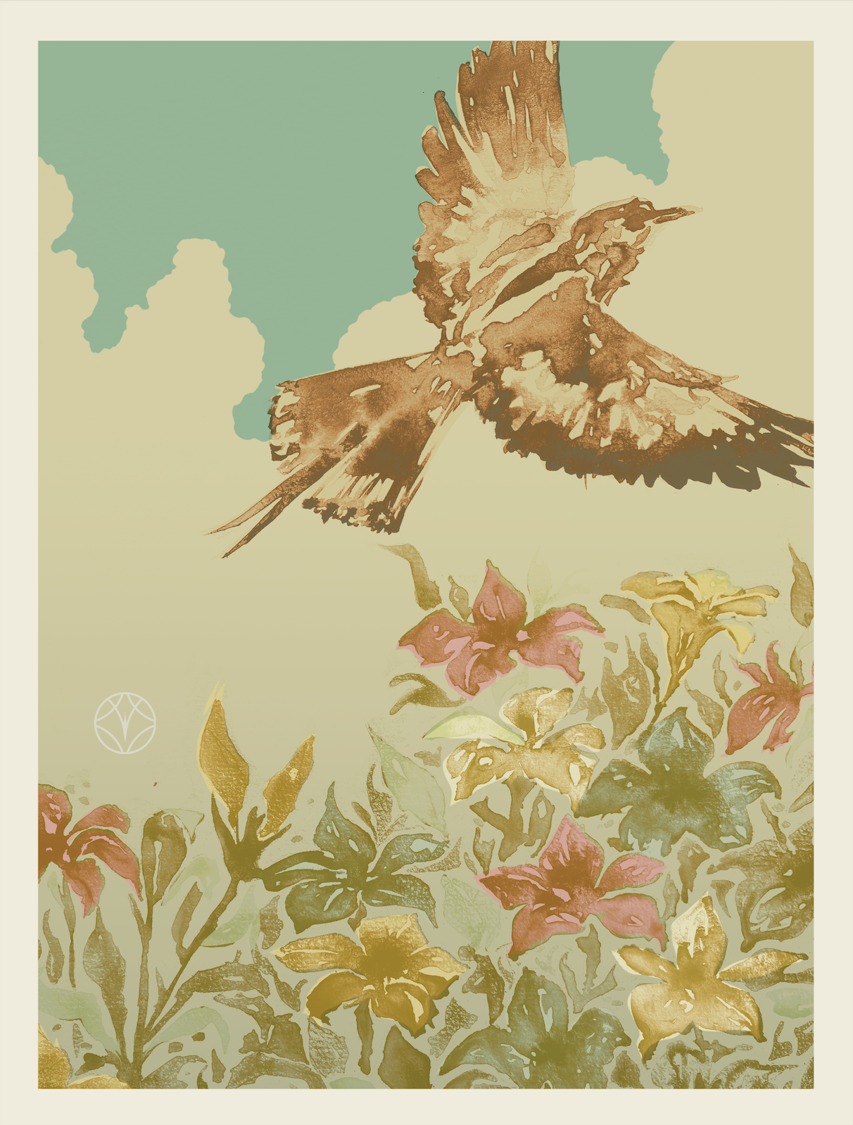 Hokumelias Graphica.PNG