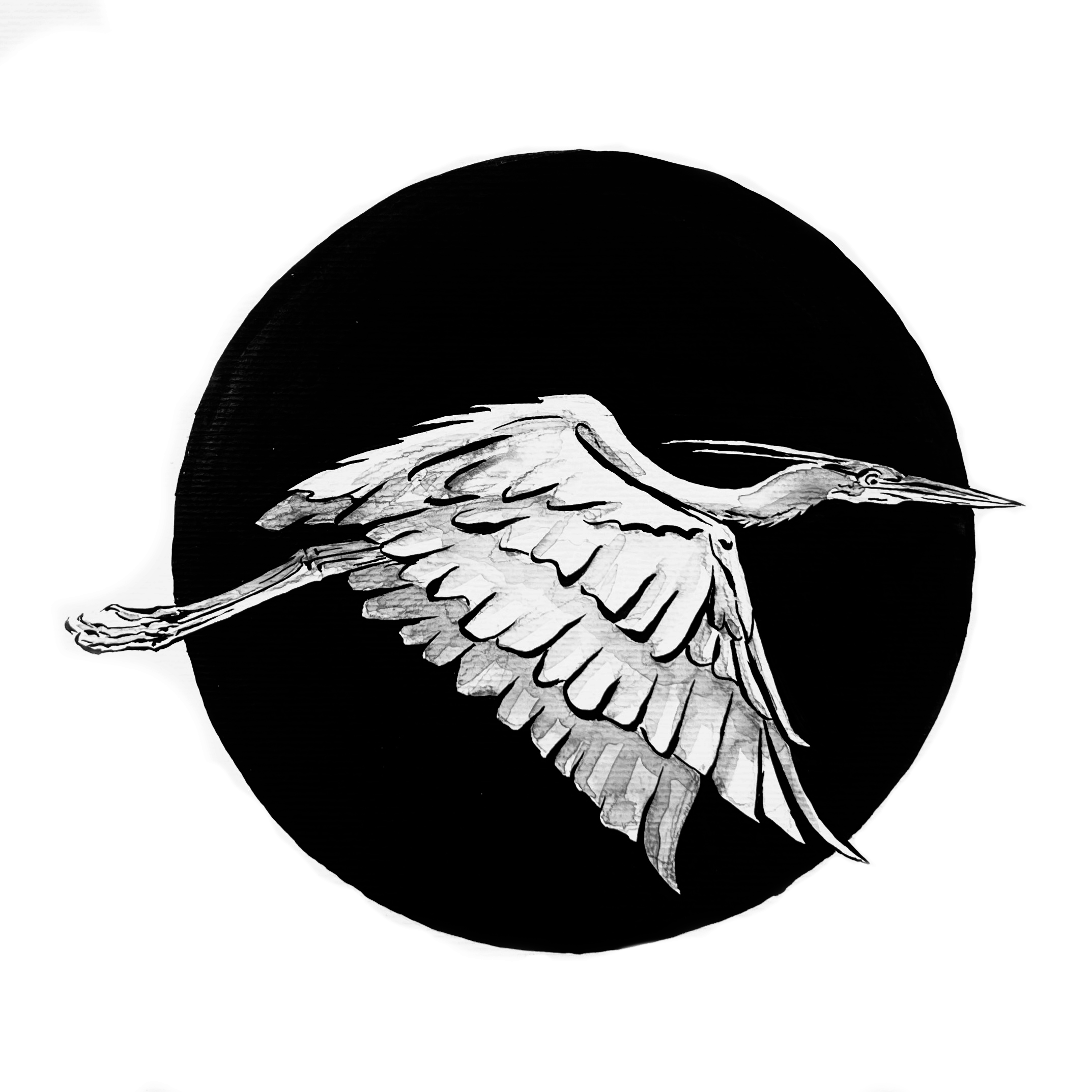 Heron Flying Drawing Lighten.PNG