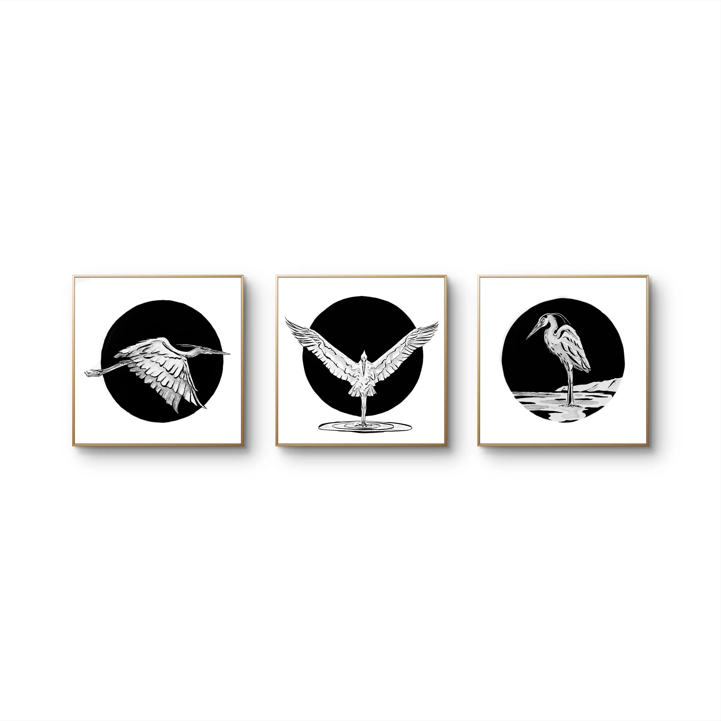 Herons Encircled Set