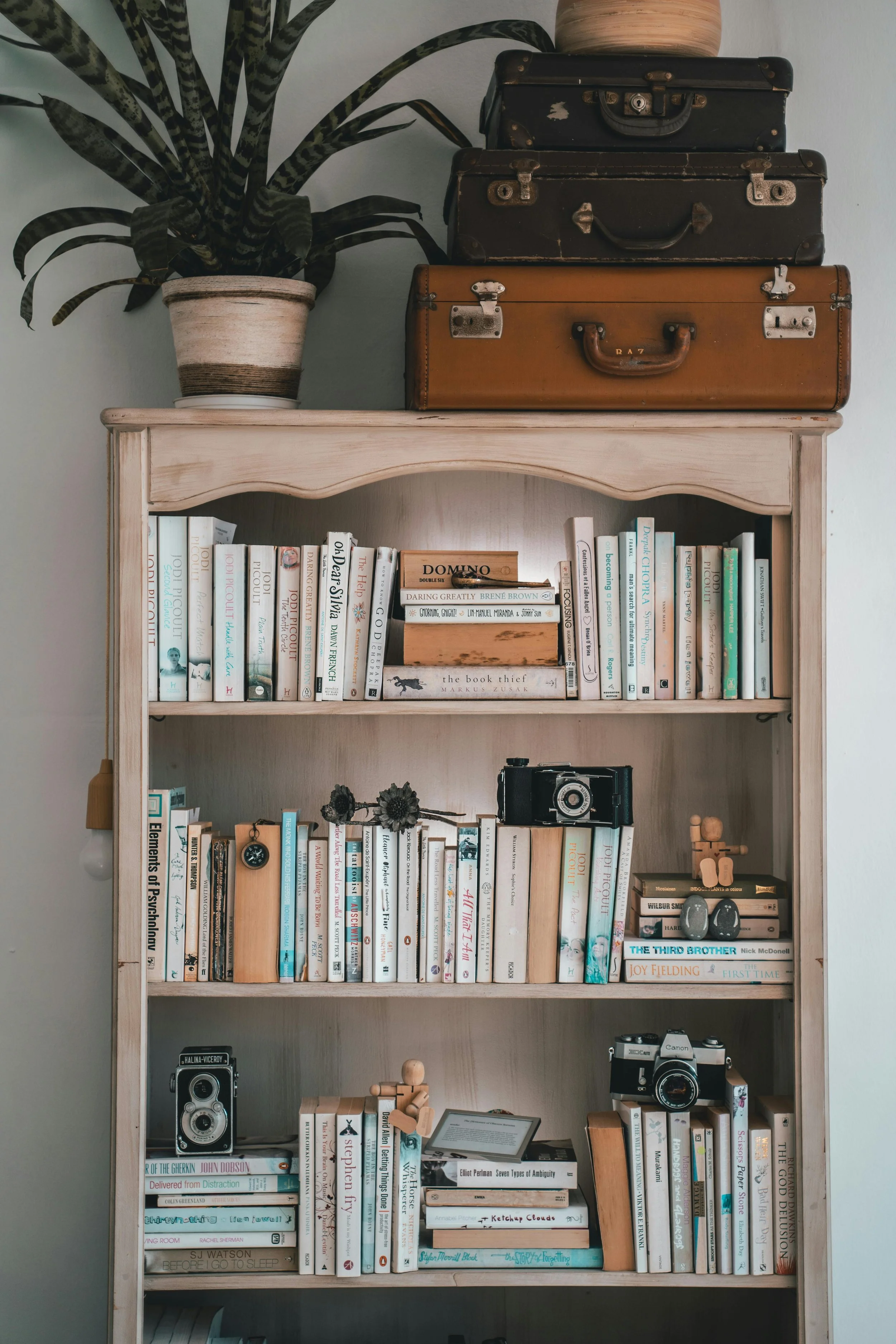A wooden bookshelf filled with books, vintage cameras, and decorative items, with three stacked suitcases and a potted plant on top.