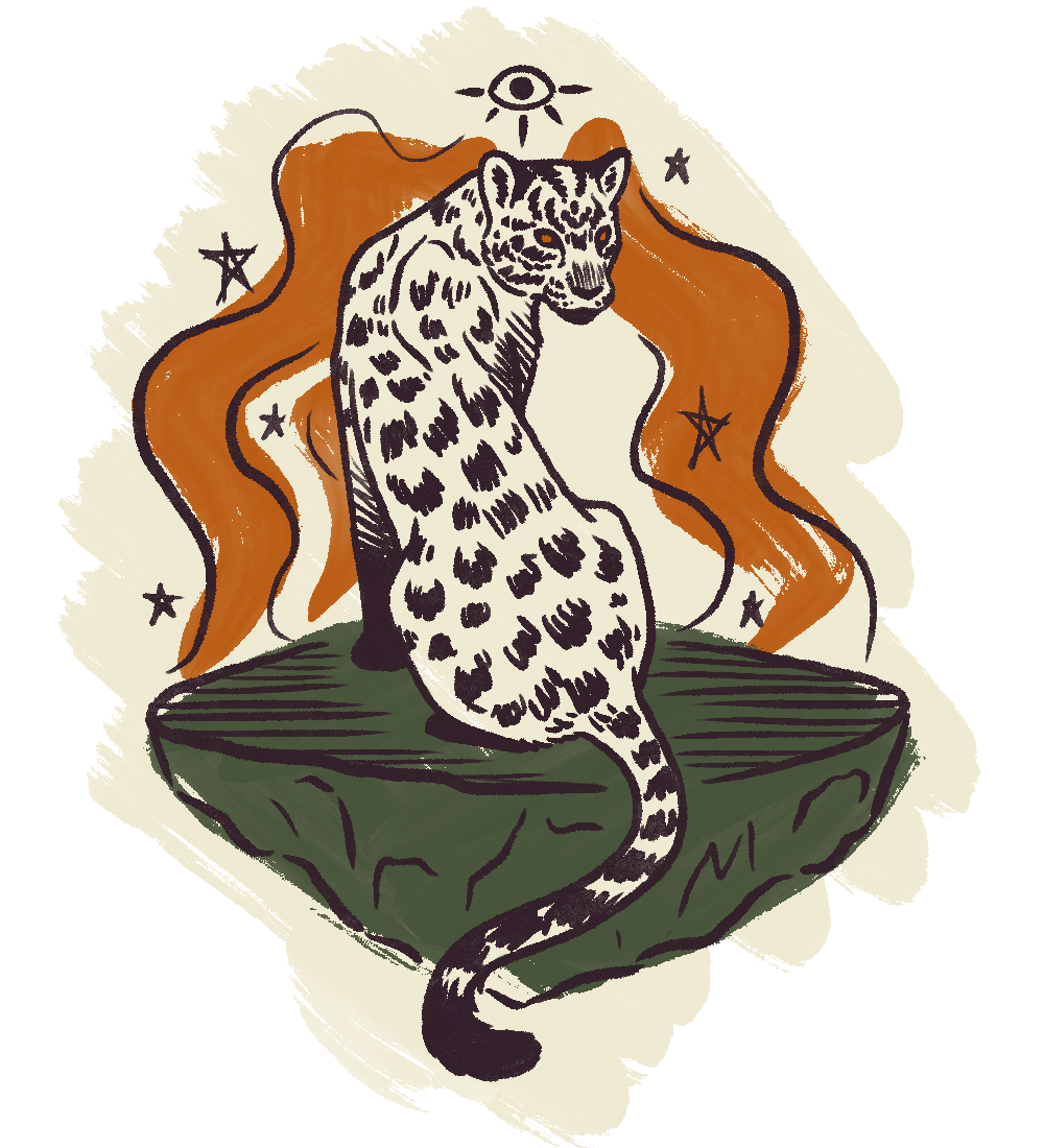 A stylized illustration of a leopard sitting on a green floating rock with orange flames in the background, surrounded by small stars and a single eye symbol at the top.