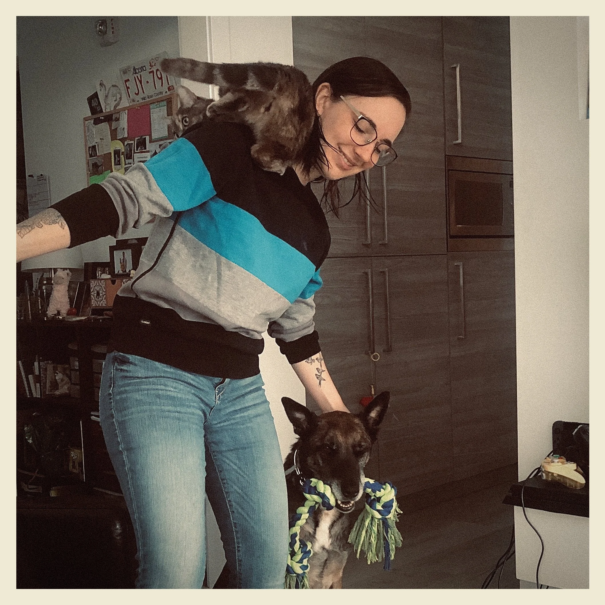 A woman with dark hair, glasses, and tattoos is hugging a dog with a dark face, wearing a colorful tie-dye bandana, while a tabby cat with striped fur is perched on her shoulders. The background shows a kitchen with wooden cabinets and a bulletin board.