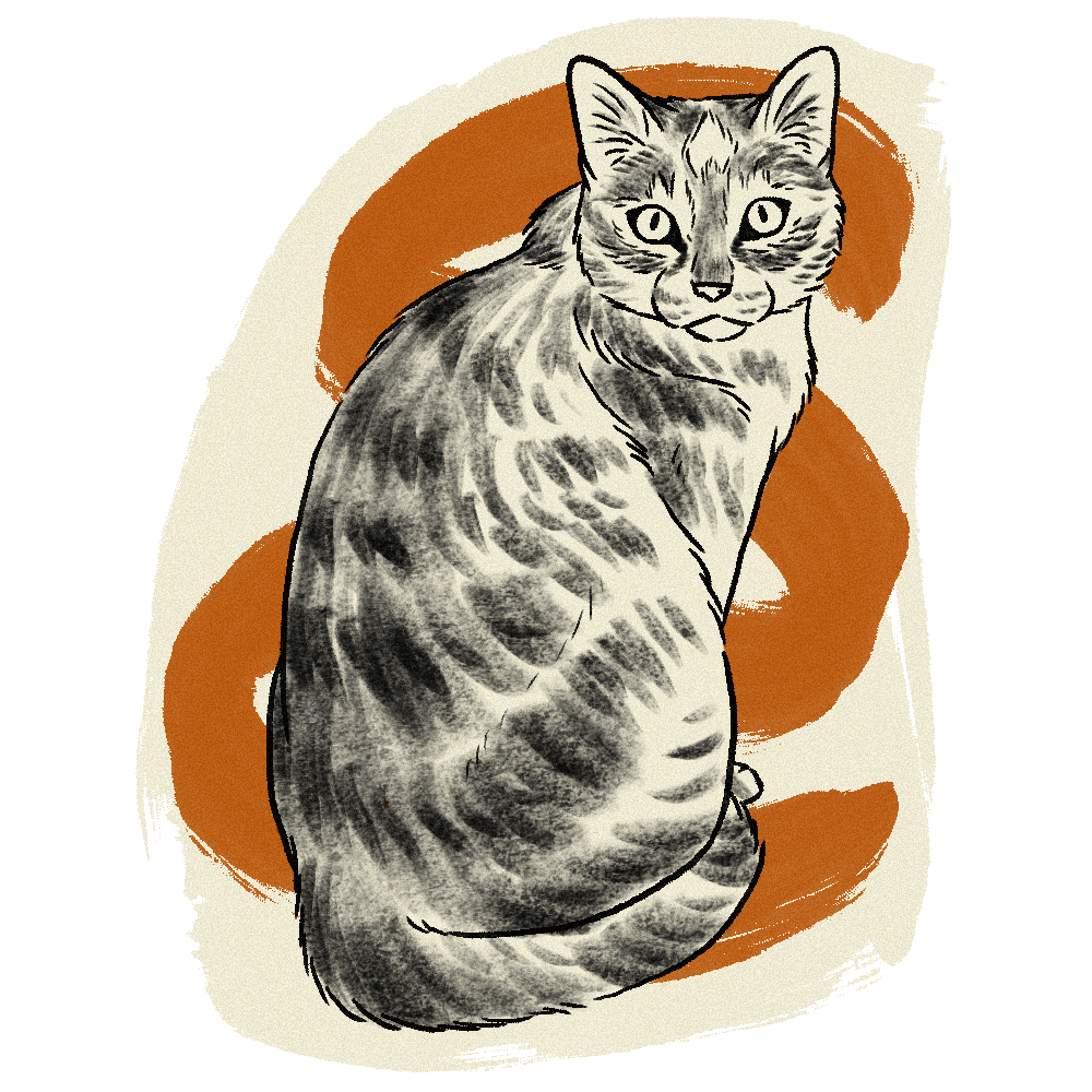 Illustration of a tabby cat with black and gray stripes sitting against an abstract orange and cream background.