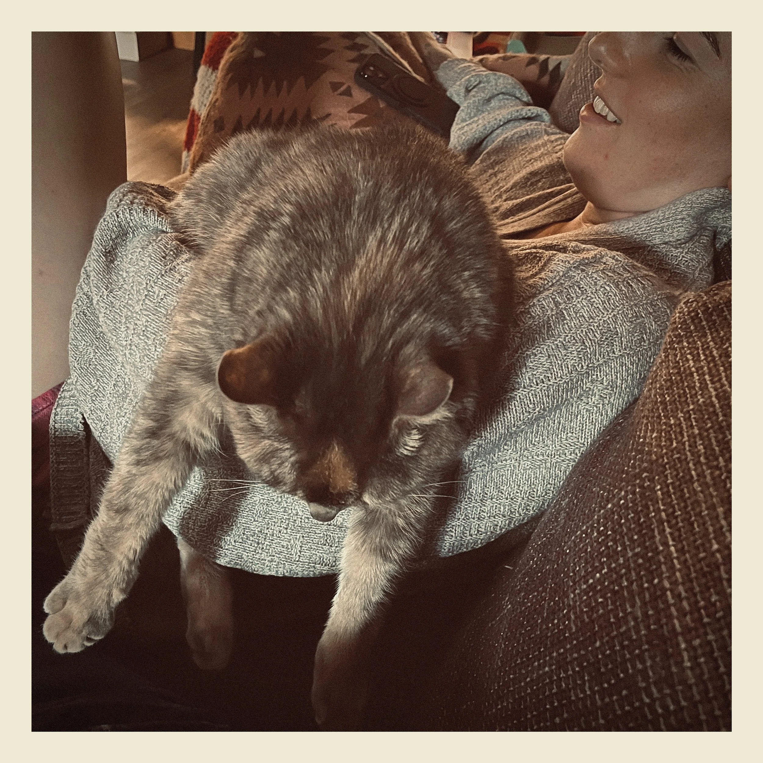 A person lying on a bed or couch, smiling, with a cat resting on them.
