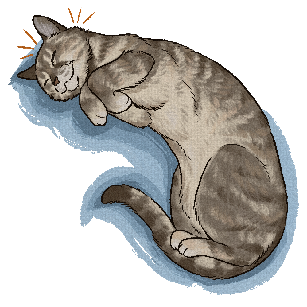 A gray tabby cat with closed eyes, lying on a blue cushion, appearing to be sleeping.