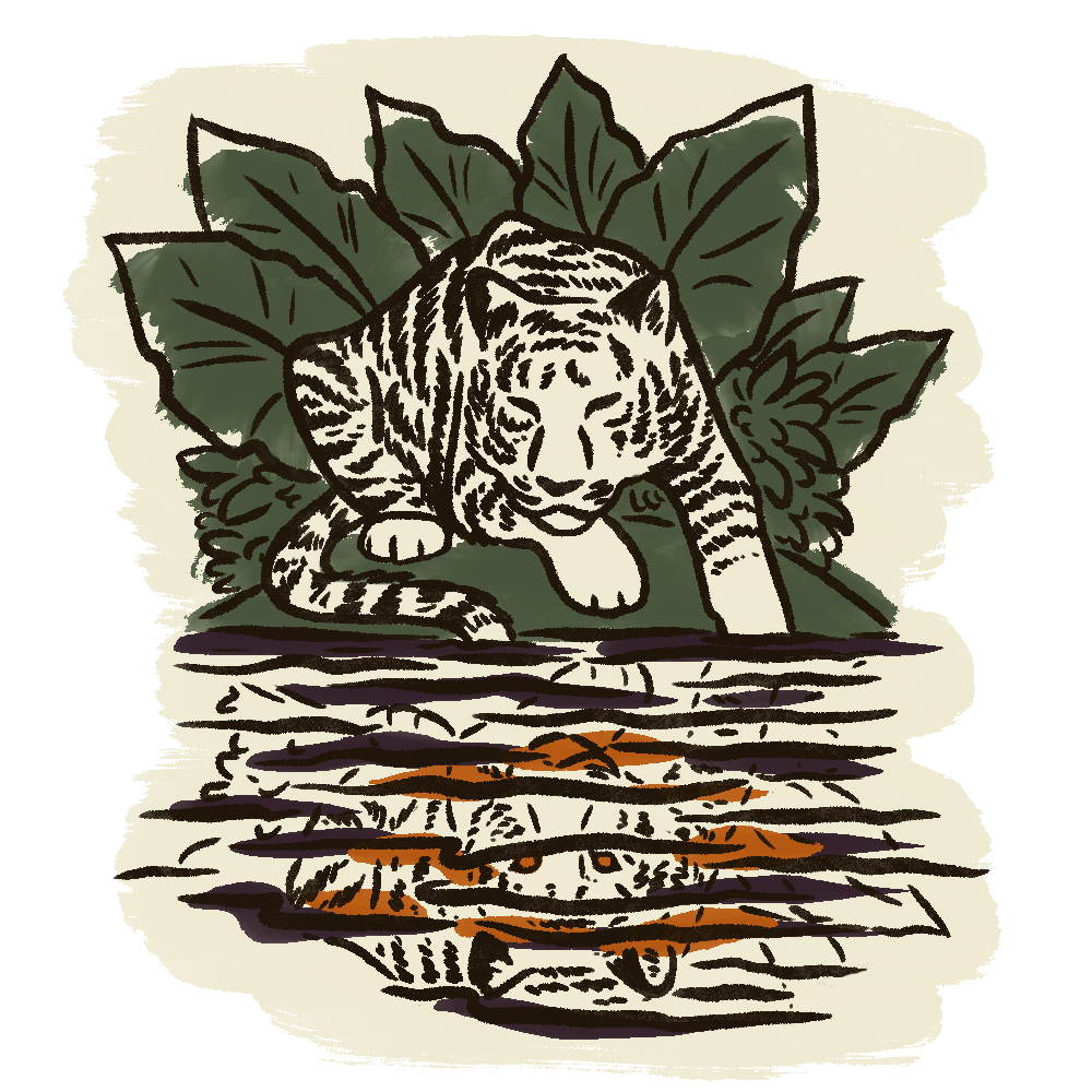 A drawing of a tiger cub walking on water with large green leaves in the background.