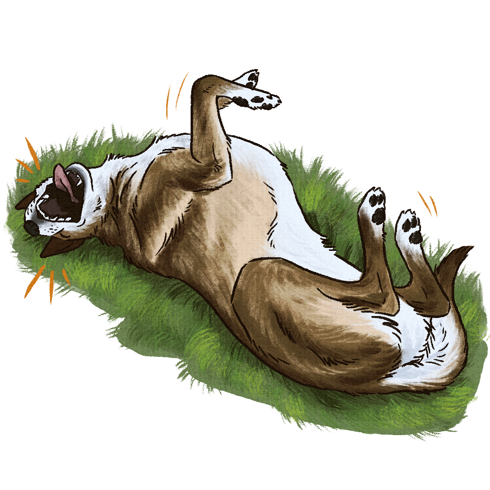 Cartoon illustration of a playful dog lying on its back on green grass, with paws in the air and mouth open in a happy expression.