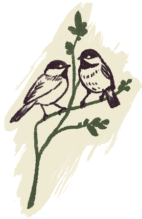 Two illustrated birds perched on a branch with leaves.