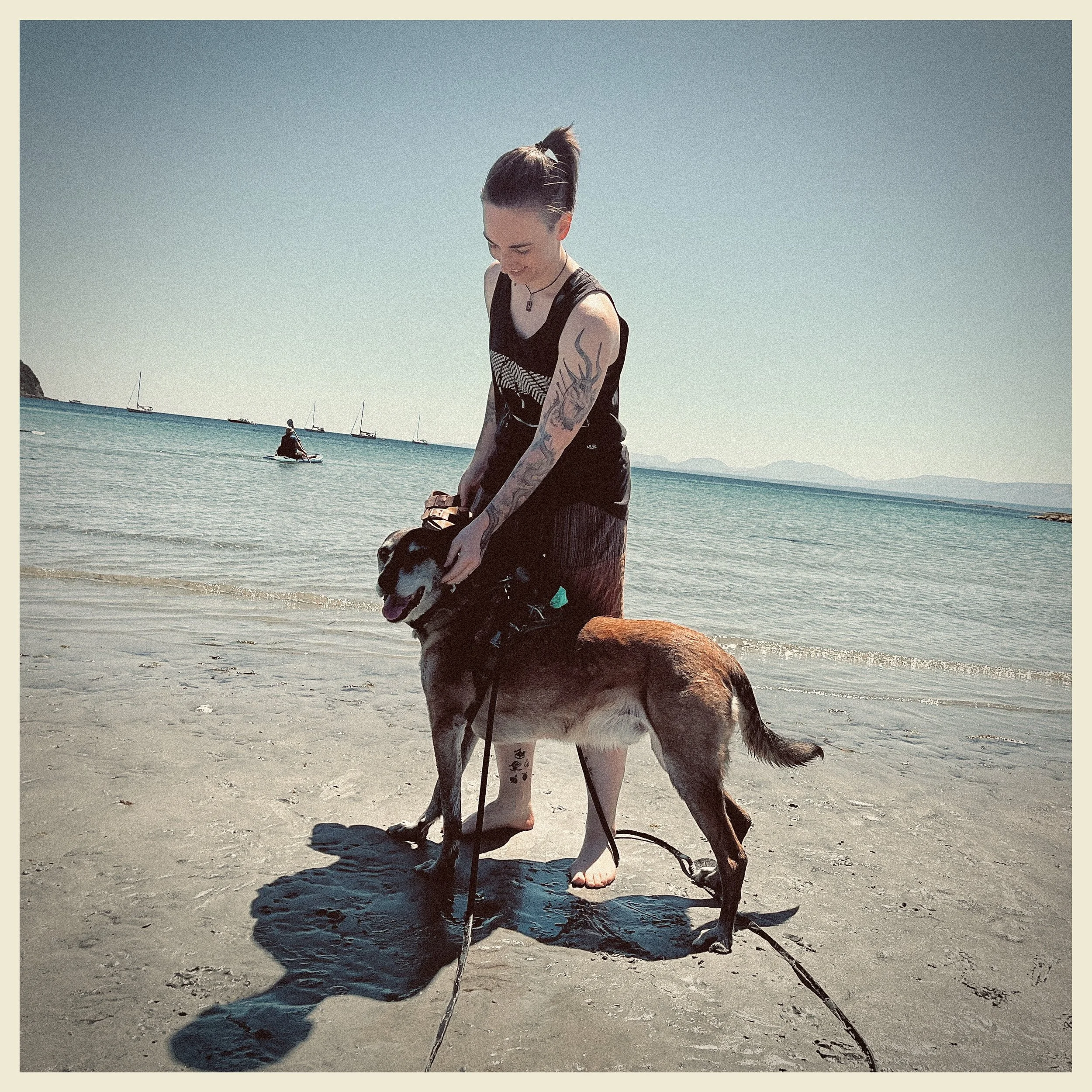 Intuitive Animal Readings